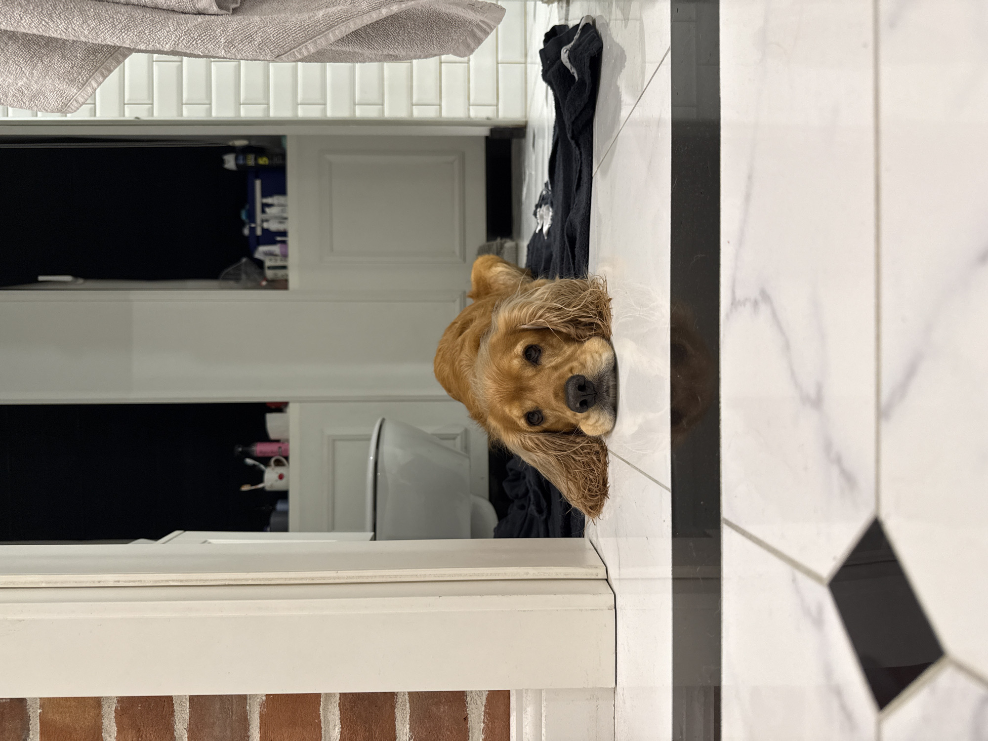 A golden-brown dog lies on a black towel on a tiled bathroom floor. The dog is facing the camera with its head resting on its paws. In the background, a toilet is visible, along with a white cabinet and a brick wall. A grey towel hangs on the right side of the image. The floor is tiled with white and black marble-patterned tiles. The scene appears to be indoors, possibly in a home bathroom.