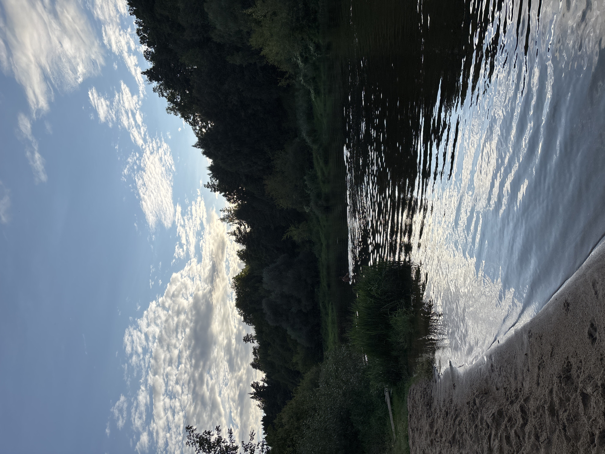 A serene riverside scene unfolds, likely near Zvenigorod, Russia, with a sandy bank in the foreground leading to a calm river. Lush green trees and dense foliage line the opposite bank, forming a verdant backdrop against a bright sky dotted with scattered white clouds. The water's surface reflects the sky and trees, creating a shimmering, dappled effect. In the middle of the river, a solitary figure is visible, swimming or wading, with ripples emanating from their presence. The overall impression is one of tranquility and natural beauty, bathed in the soft light of either early morning or late afternoon.