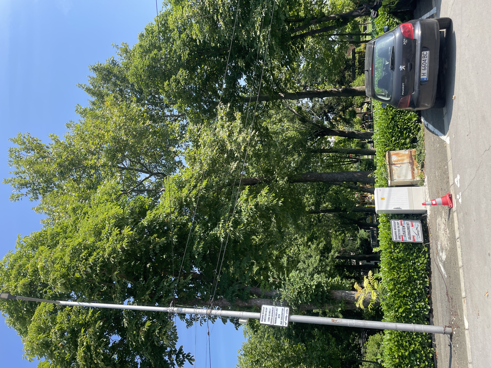 The image shows a street scene in Obzor, Bulgaria, with lush green trees and a clear blue sky. In the foreground, a lamppost stands on the left, adorned with a sign that reads in Bulgarian "ОБЩИНА НЕСЕБЪР КМЕTСТВО ОБЗОР" and in English "PARKING AREA ONLY WITH PAID SUBSCRIPTION". To the right of the lamppost, a neatly trimmed green hedge lines the pavement. Behind the hedge, a small white electrical box and a rusted metal enclosure are visible. Further to the right, a dark Peugeot 307 car is parked in a designated spot, its license plate reading "H 6604 BC". In the background, more trees and some park amenities can be seen, suggesting a public area. A red and white traffic cone is placed on the ground near the electrical box. The overall scene depicts a well-maintained urban environment on a sunny day.