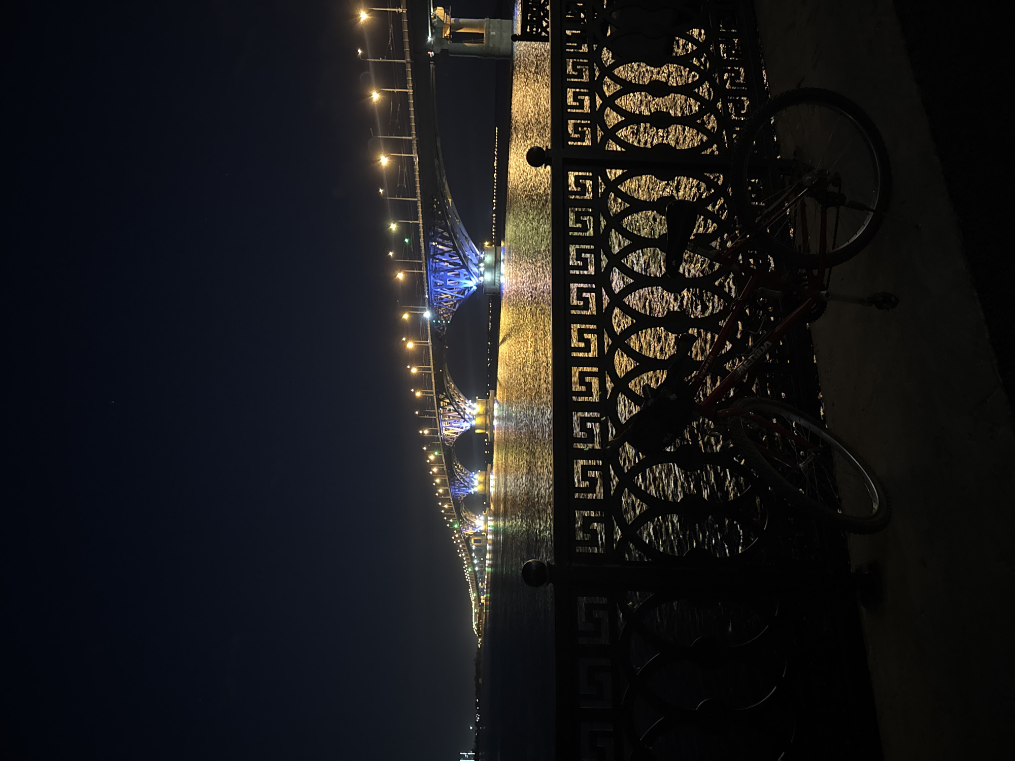 At night in Saratov, Russia, a bicycle is leaned against an ornate, dark metal fence. Behind the fence, the lights of Saratov Bridge are reflected in the Volga River. The bridge is illuminated with yellow and blue lights. The sky is dark.
