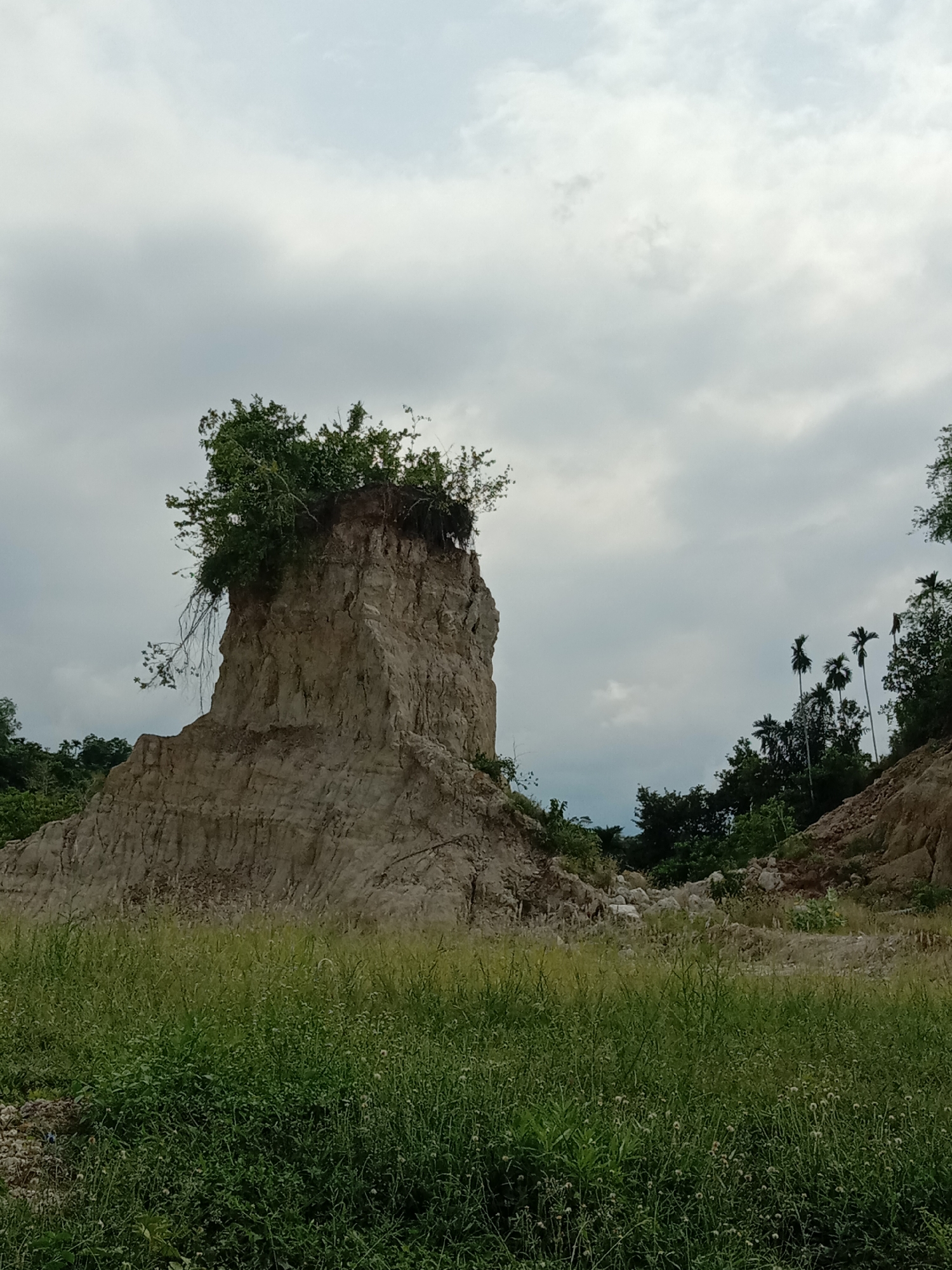The image shows a weathered, light-colored rock formation in a grassy area. A cluster of trees grows on top of the formation. The sky is overcast. Other vegetation and palm trees are visible in the background. The location is Seuneubok, Indonesia.