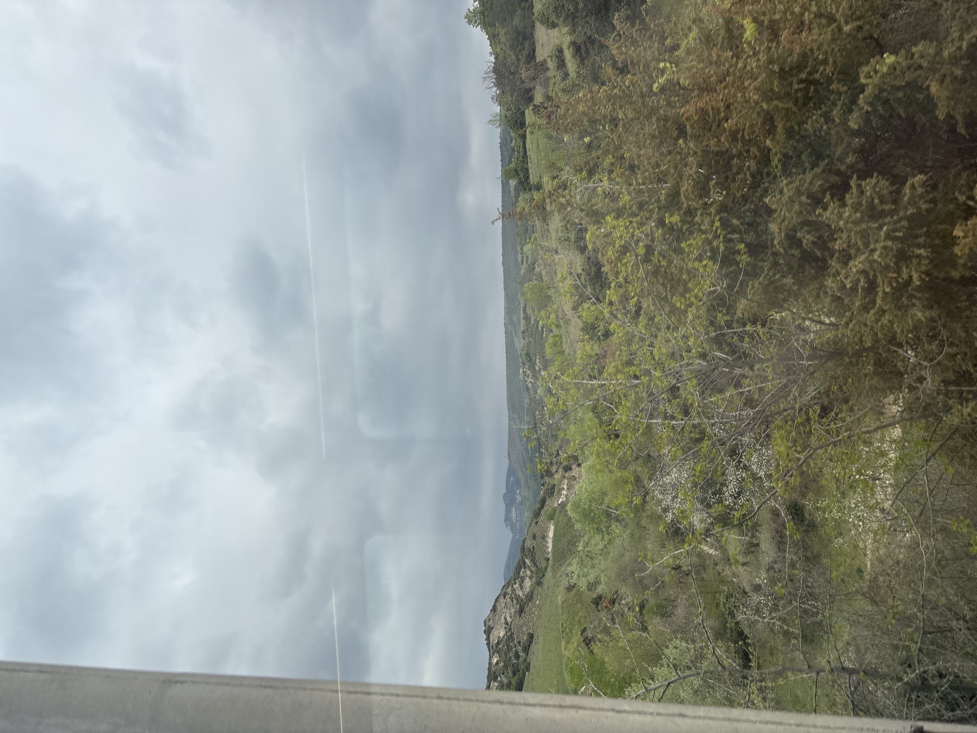 The image shows a landscape with a cloudy sky taking up the left side of the frame. Two contrails are visible in the sky. On the right, there is a hillside covered with trees and green vegetation. The vegetation appears to be growing down a steep slope. In the foreground, a gray guardrail is visible. The image appears to have been taken through a window.