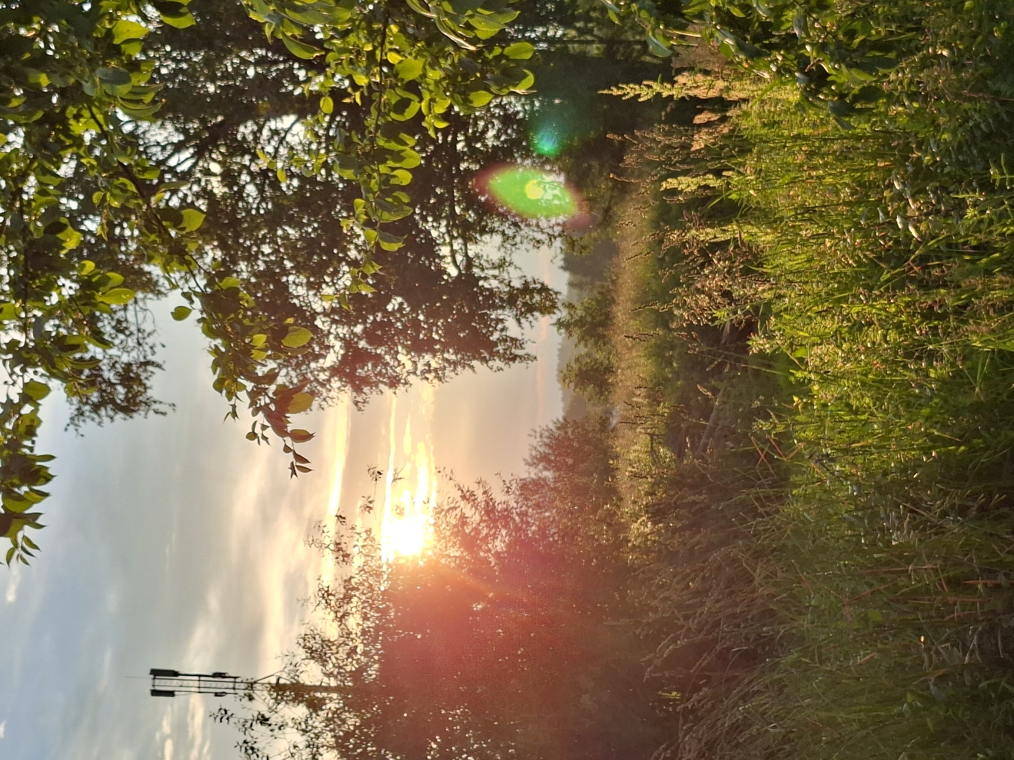 This is a vertical, low-angle photograph captured during a sunrise in Karsha, Russia. The scene depicts a sun-drenched pathway bordered by lush green vegetation on the right and tree branches with vibrant green leaves on the left. The sun, low in the sky and casting a warm, orange glow, is partially obscured by the foliage. Lens flare is evident, with a prominent green and yellow circular flare in the upper middle section of the image. In the distance, a faint mist hangs in the air, hinting at the cool morning temperature.
On the left side of the image, silhouetted against the bright sky, is a tall, dark structure that appears to be a communication tower or antenna. The sky itself is a soft blue with wisps of clouds catching the sunlight. The overall atmosphere of the image is serene and tranquil, evoking a sense of natural beauty and the quiet start of a new day. The golden hour light illuminates the scene, highlighting the textures of the leaves, grass, and distant mist.