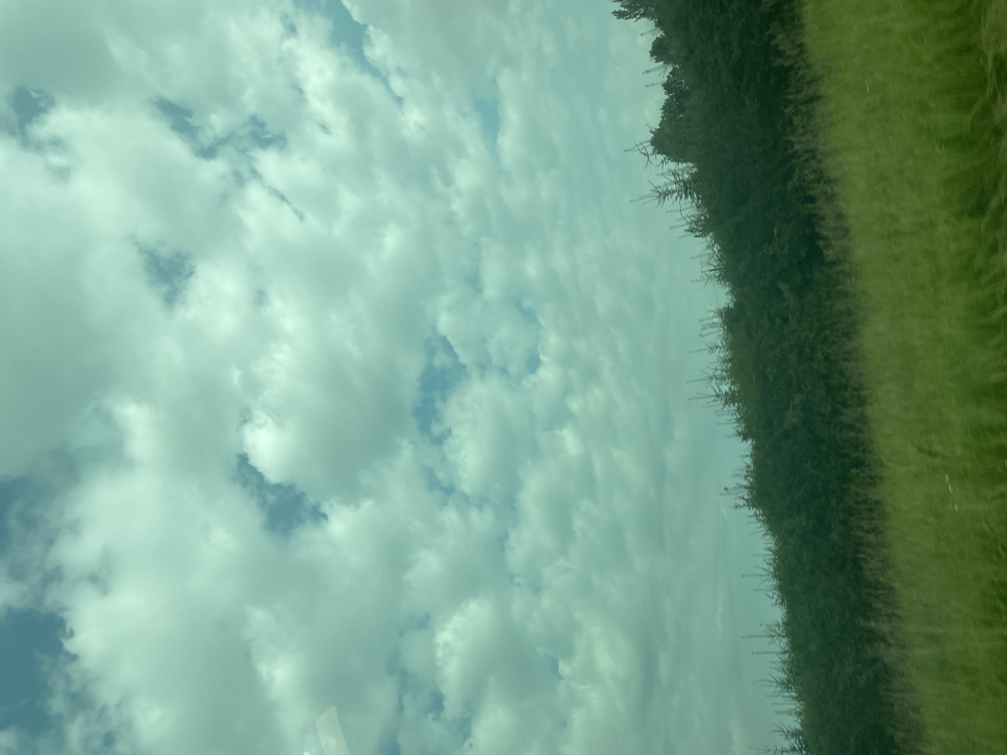 The image depicts a rural landscape in Märja, Estonia. The foreground is dominated by a field of green grass, with the stalks appearing somewhat blurred, suggesting motion or wind. Behind the grass is a dense line of dark green trees and shrubs, forming a natural border. Above this line of vegetation, the sky is filled with a mixture of white and grey clouds, interspersed with patches of blue. The overall lighting suggests it is daytime, possibly overcast with some breaks in the clouds. There are no people or specific buildings visible in the scene.