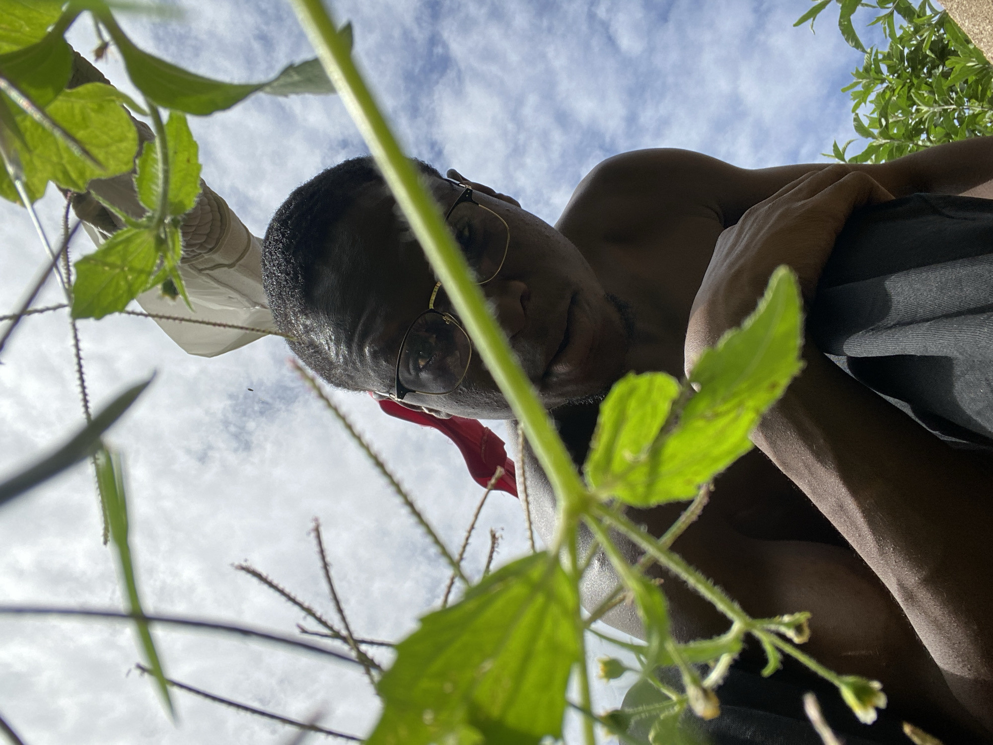 A low-angle, medium shot captures a young Black man from the chest up, looking down at the camera. He is shirtless and wearing eyeglasses with gold frames. The man is positioned in what appears to be an outdoor setting, with lush green foliage in the foreground framing his face. Beyond the vegetation, a bright blue sky with scattered white clouds is visible. He is wearing dark trousers. The image has a shallow depth of field, with the foreground vegetation significantly blurred, drawing the viewer's attention to the man's face. The lighting suggests a bright, possibly midday sun. No specific landmarks within Bukuru, Nigeria, are identifiable in this image.