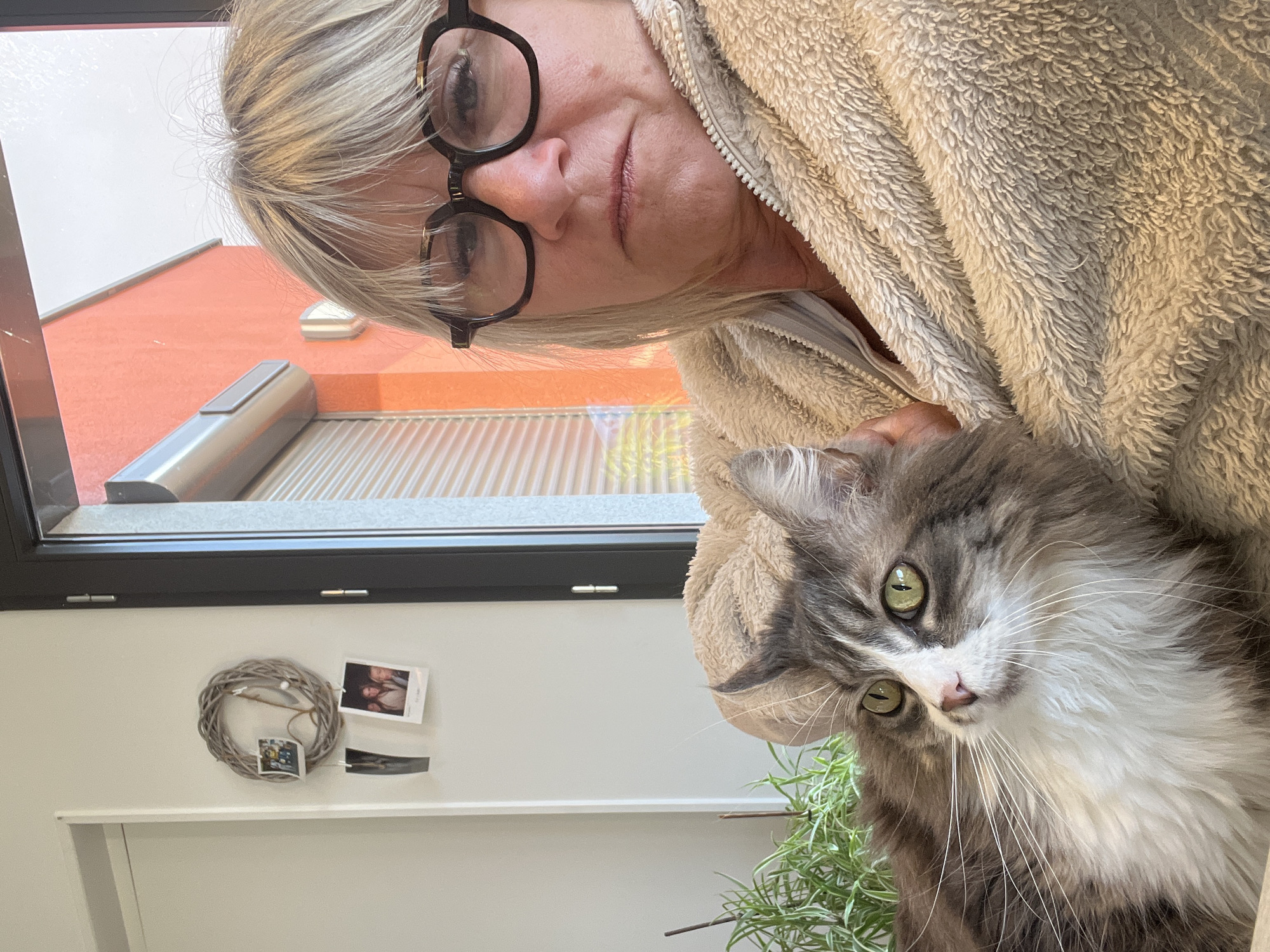 The image is a selfie taken indoors in what appears to be a home in Chambœuf, France. A woman with blonde hair and glasses is holding a fluffy gray and white cat. The woman is wearing a beige fleece jacket. In the background, there is a window, a portion of a red building outside, a white wall, a decorative wreath, and a few photographs or cards attached to the wall. Some greenery is also visible near the cat. The photo is taken from a slightly angled perspective, with the woman and cat occupying the foreground.