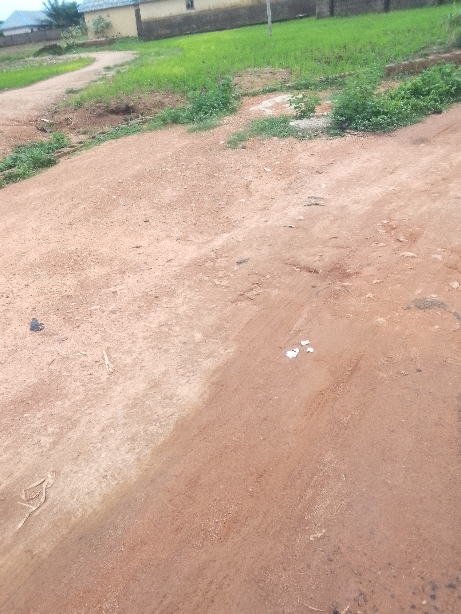 The image depicts an outdoor scene in Jalingo, Nigeria. The foreground is dominated by a dirt road with a reddish-brown hue, showing tire tracks indicative of vehicular activity. Scattered on the road are a few small, white pieces of litter, and a dark, somewhat amorphous object. To the left of the road, a small, dark object, possibly a piece of trash or a shadow, is visible.
The road curves gently to the left and upwards, bordered by patches of green grass and some sparse vegetation. In the mid-ground and background, more extensive areas of green grass are visible, suggesting a rural or semi-rural environment. Beyond the grass, there are buildings. One building appears to be a light-colored structure with a dark roof, possibly a house or a small business. Another building, partially visible in the upper left, has a grey roof. A low, dark fence runs along the property line of one of the buildings.
The time of day appears to be daytime, with overcast or diffused lighting, as there are no strong shadows. The weather seems to be calm, with no obvious signs of wind or rain. The overall impression is one of a developing area, with unpaved roads and mixed vegetation and buildings. There is no visible text in the image.
