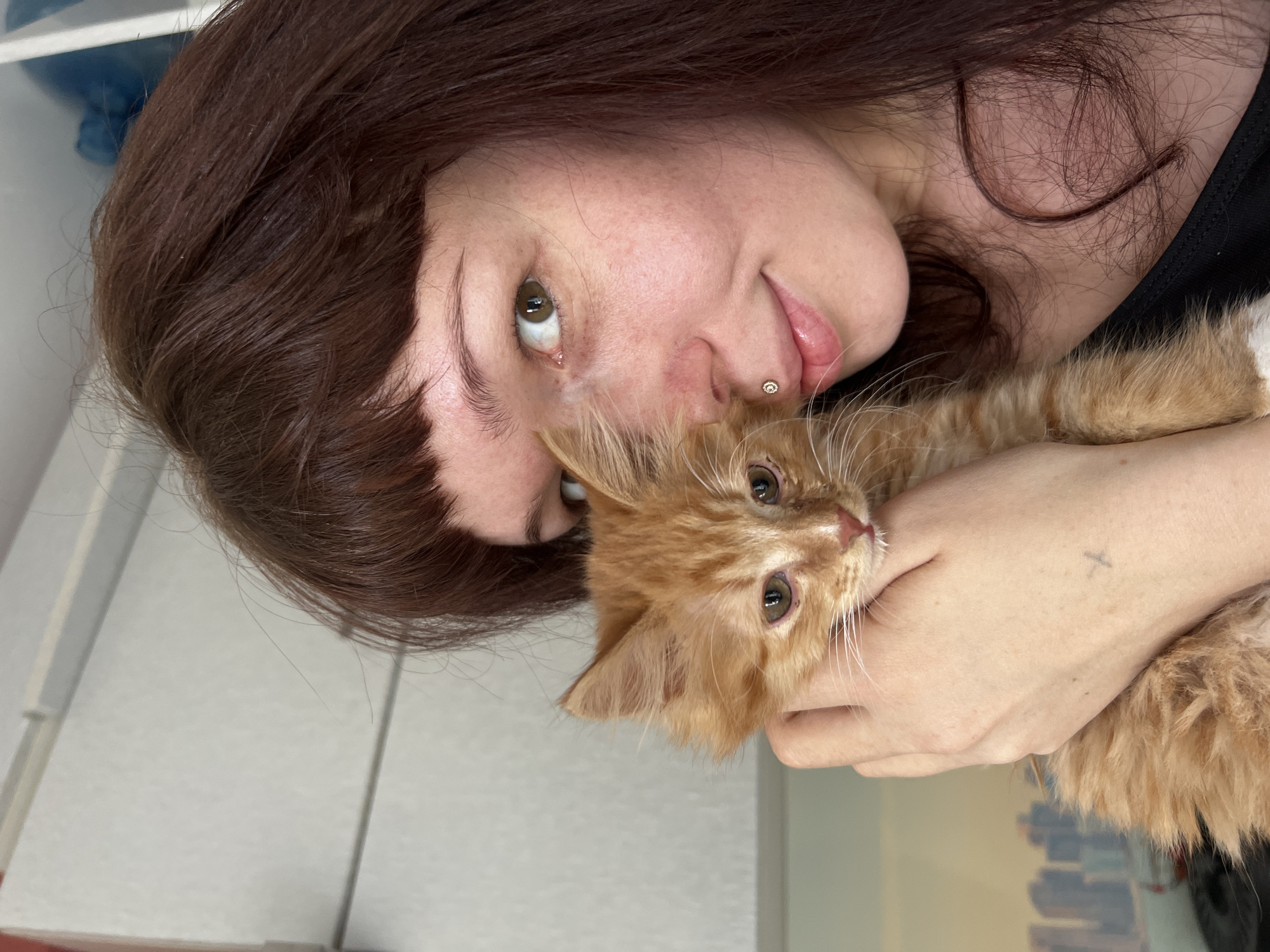 A close-up, eye-level, medium shot captures a young woman with long, dark brown hair and bangs holding a fluffy orange kitten. The woman is looking towards the camera with a slight smile, her head tilted. She has fair skin with some freckles and a subtle nose ring. The kitten, held in her left arm and cradled by her right hand, looks slightly to the left. Its fur is a vibrant orange with tabby markings. The background is indistinct, appearing to be an indoor setting with a light-colored wall or surface. There is no visual information in the image that would allow for determining a specific location in the city of Chaikovsky, Russia.