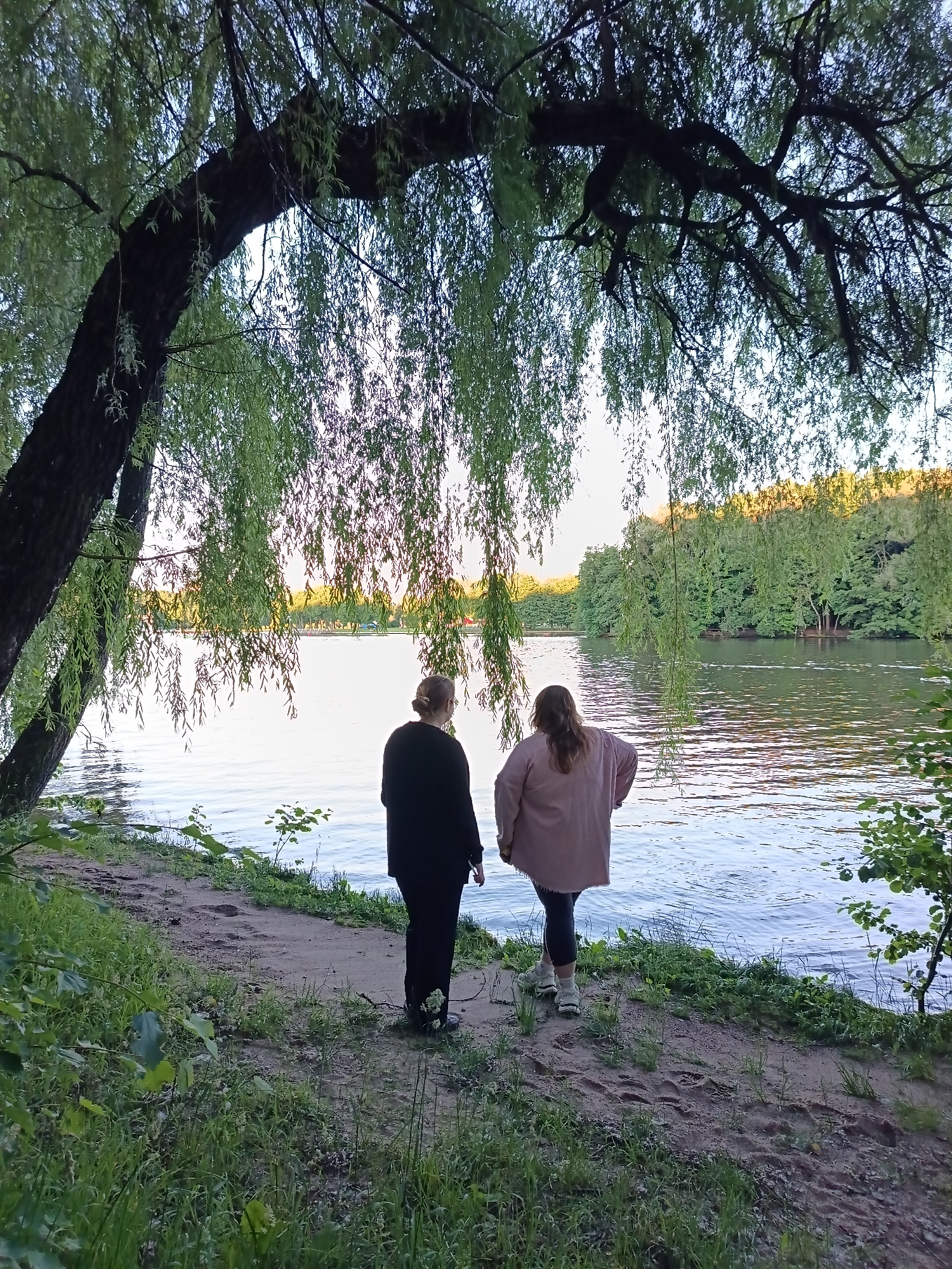 The image depicts a serene lakeside scene in Minsk, Belarus, likely during the golden hour due to the warm, soft lighting. Two women, viewed from behind, stand on a sandy, grassy bank overlooking a calm body of water. The woman on the left wears a black long-sleeved top and dark pants, while the woman on the right is dressed in a light pink, loose-fitting jacket over dark leggings and light-colored sneakers. Their backs are to the camera as they gaze out at the lake, suggesting a moment of contemplation or shared observation.
The foreground is dominated by the lush green grass and the textured sand of the path, with the large trunk and weeping branches of a willow tree providing a natural archway over the scene. The tree's delicate green foliage hangs down, partially obscuring the view of the lake and the sky. The lake itself is smooth, reflecting the soft sky and the dense green trees that line the opposite shore. In the distance, across the water, a line of trees forms a verdant backdrop, with hints of buildings or structures suggesting an urban park setting. The overall atmosphere is one of tranquility and natural beauty, characteristic of Minsk's many parks and waterfront areas.