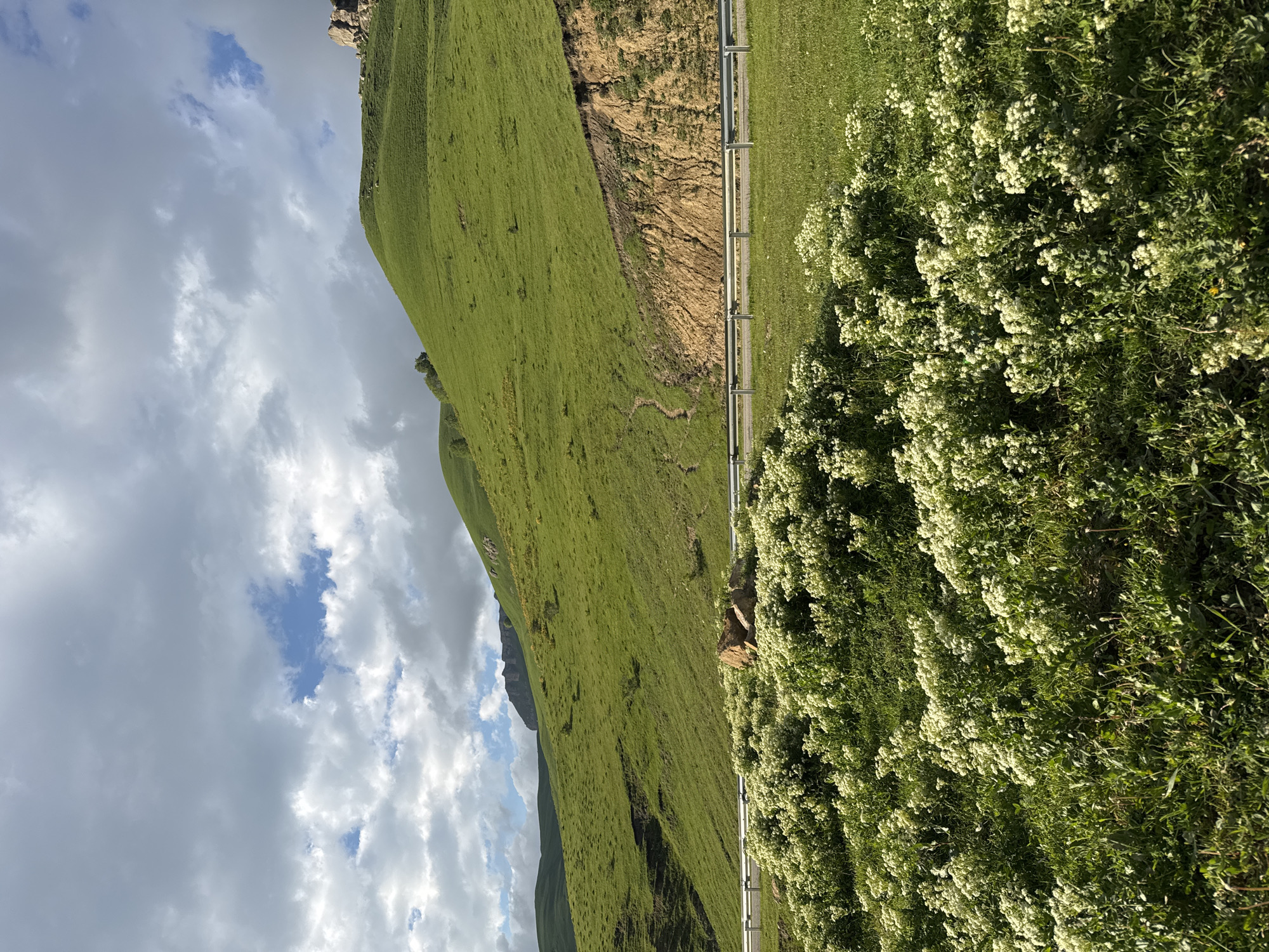The image depicts a lush green mountain slope in Верхняя Мара, Russia. The scene is dominated by rolling hills covered in vibrant green grass, with a clear path winding its way up the incline. To the right of the slope, a dense cluster of white wildflowers bursts with life, their delicate blooms contrasting with the surrounding greenery. A metallic guardrail runs along the edge of the mountain, separating the grassy slope from the flower-filled meadow. The sky above is a mix of soft, fluffy white clouds and patches of bright blue, suggesting a pleasant, partly cloudy day. The sun appears to be shining, casting a warm glow on the landscape. The overall impression is one of natural beauty and tranquility, with the gentle curves of the mountains and the vibrant colors of the flora creating a serene and inviting atmosphere. There is no visible text in the image.