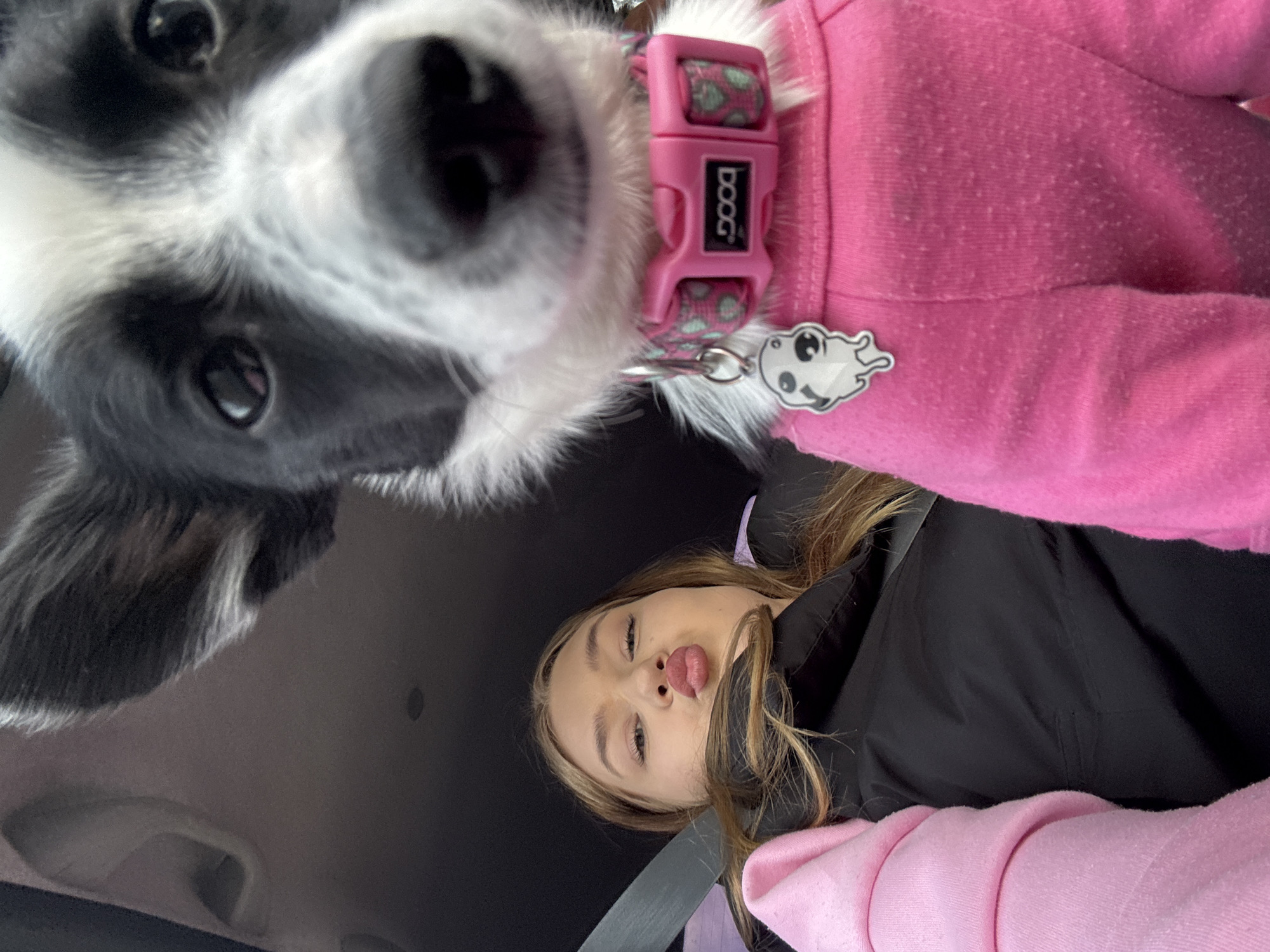 A young woman and a black and white dog are in the picture. The woman has blonde hair, pursed lips, and is wearing a black jacket and a pink sweater. The dog is wearing a pink sweater and a collar with a tag. The collar has a pink buckle with "DOOG" written on it. The picture appears to have been taken inside a car. There is no indication of the location being in the city of Ольховка, Russia.