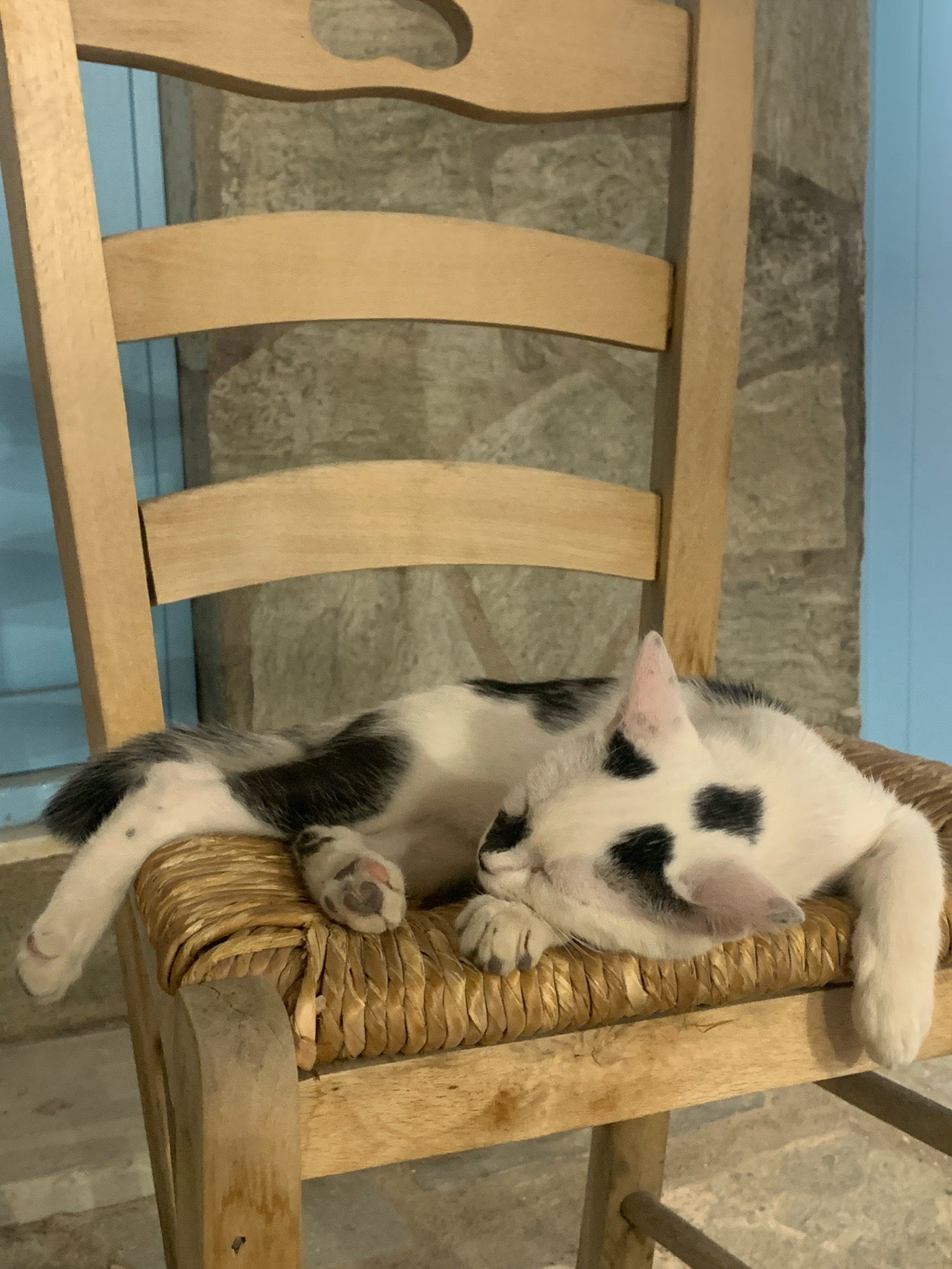 A black and white cat sleeps on a woven chair seat. The cat is lying on its side, with its head resting on its paws. The cat's fur is white with black patches. The chair is made of light-colored wood. In the background, there is a stone wall and a blue door. The scene is indoors.