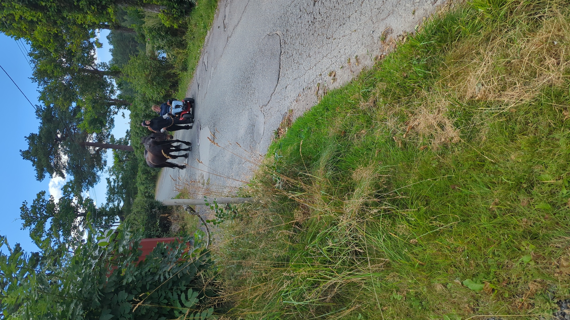 A brown horse is being led by a person on foot down a paved road in Larkollen, Norway. Beside the horse, a person is seated on a red mobility scooter, also moving down the road. The road is bordered by tall grass and lush green vegetation on the left, with a red building visible in the background. On the right side of the road, more trees and greenery are present, with a body of water visible in the distance. The sky is blue with scattered clouds, indicating daylight.