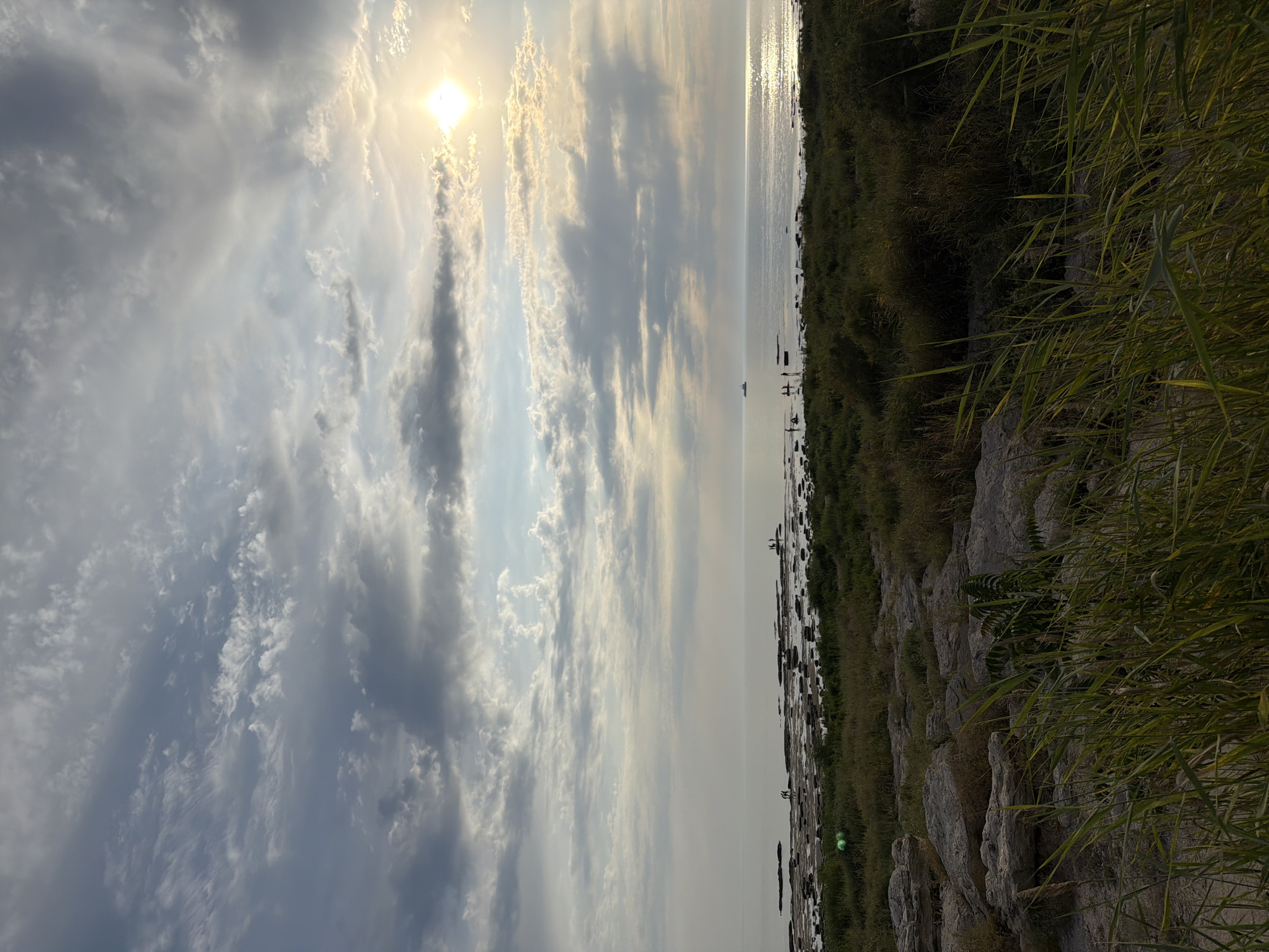 This is a vertical, medium-shot photograph of a rocky shoreline with the Caspian Sea and a cloudy sky. The sun is setting or rising, casting a bright glare on the water and partially obscured by clouds. The foreground consists of rough, grey rocks and tall, green grass. In the middle ground, there are more rocks and dense green vegetation. The sea is calm and stretches to the horizon. Several small groups of people are visible on the rocks near the water's edge, appearing to be exploring or fishing. A cargo ship is visible on the distant horizon. The scene is likely located along the coast of Aktau, Kazakhstan, known for its rocky shores and proximity to the Caspian Sea.