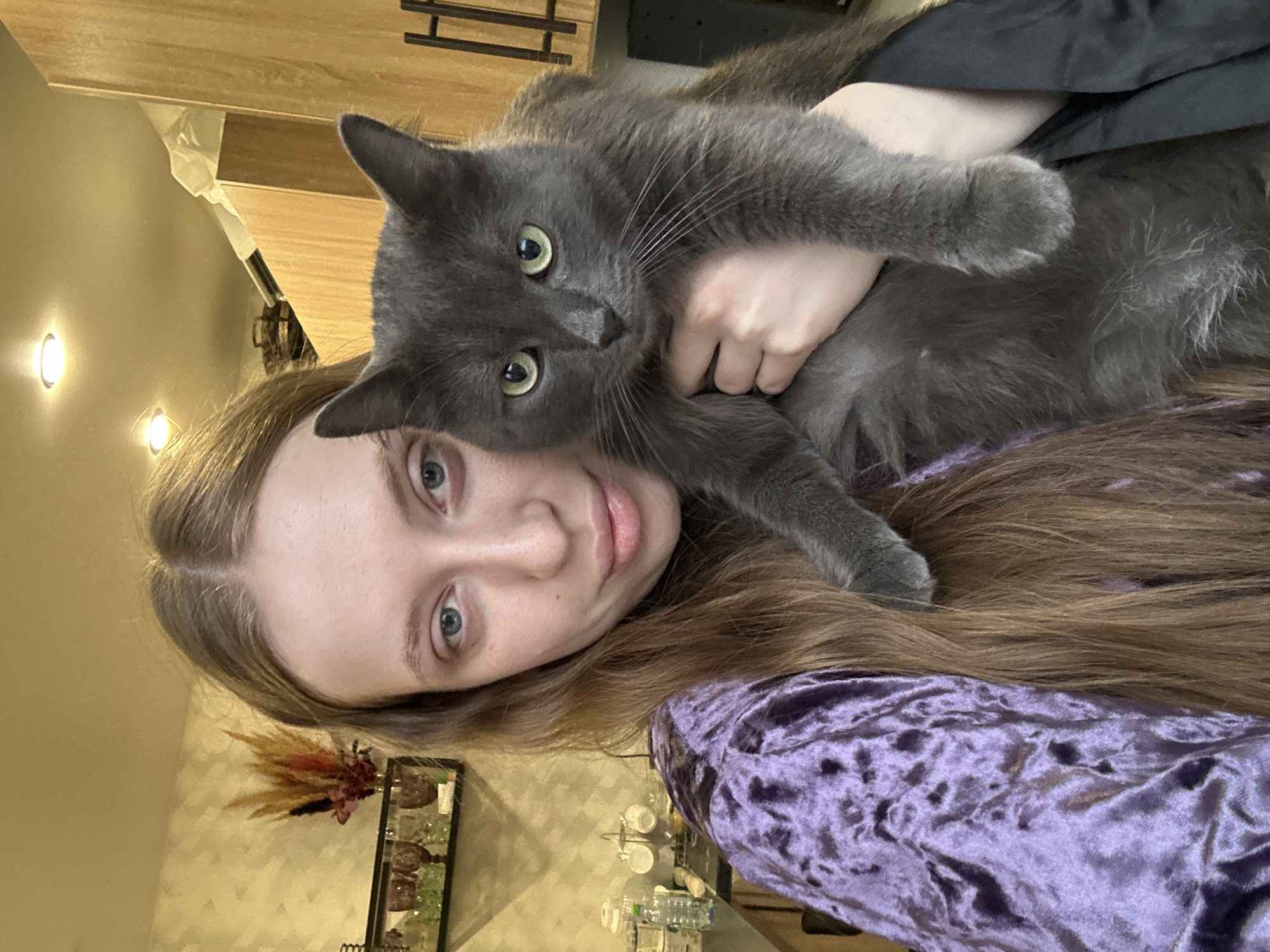 A selfie-style, slightly angled photograph shows a person holding a gray cat. The person has light skin, blue eyes, and long brown hair. They are wearing a purple velvet top. The cat has green eyes and is held in the person's arm. The background includes a kitchen counter with various items on it and lighting fixtures. The location is unclear, but no evidence confirms it is Chaikovsky, Russia.