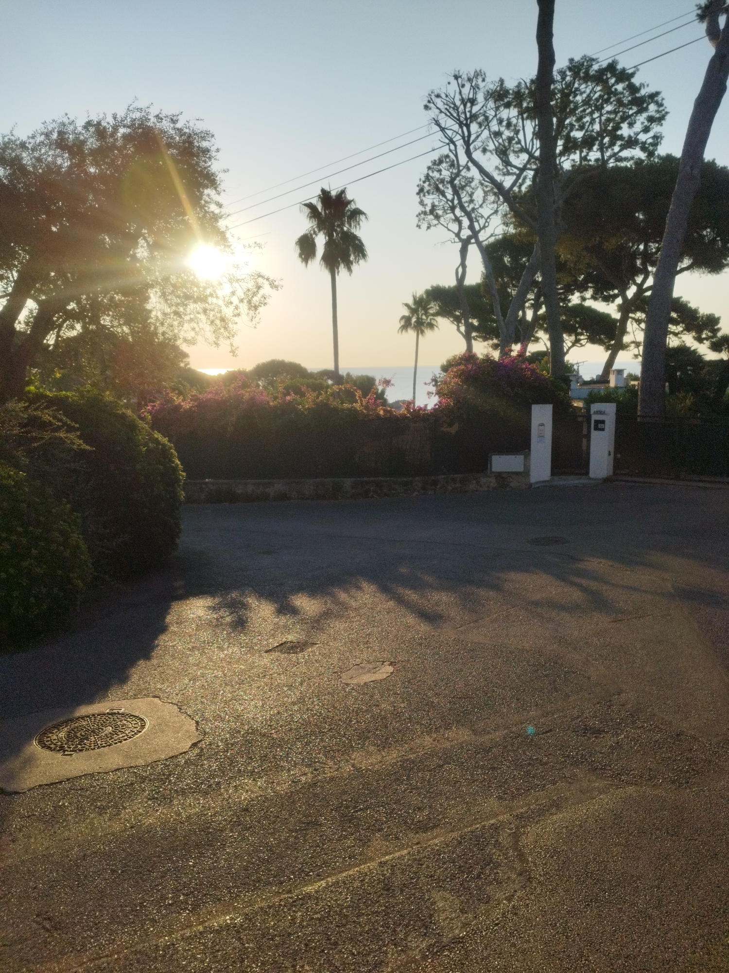 The image depicts a tranquil scene at a property entrance, likely in Antibes, France, during the late afternoon or early evening. The sun casts a warm, golden glow across the asphalt driveway and illuminates the surrounding vegetation. On the left, a large, leafy tree is prominent, with the sun partially obscured by its branches, creating a lens flare effect. To the right, a tall palm tree stands against the pale blue sky, accompanied by other trees with varying foliage density.
In the mid-ground, a manicured hedge line runs horizontally, punctuated by vibrant pink flowering bushes. Beyond the hedge, the glint of the Mediterranean Sea is visible, suggesting a coastal location. Two white pillars, likely part of a gate or entrance feature, stand symmetrically in front of a building complex, with what appears to be a mailbox or intercom system attached to each. The driveway itself shows signs of wear, with a circular manhole cover visible in the lower left quadrant, its patterned surface catching the sunlight. The overall atmosphere is peaceful and serene, characterized by the warm light, natural elements, and the subtle architectural features. There are no people or animals visible in the frame.