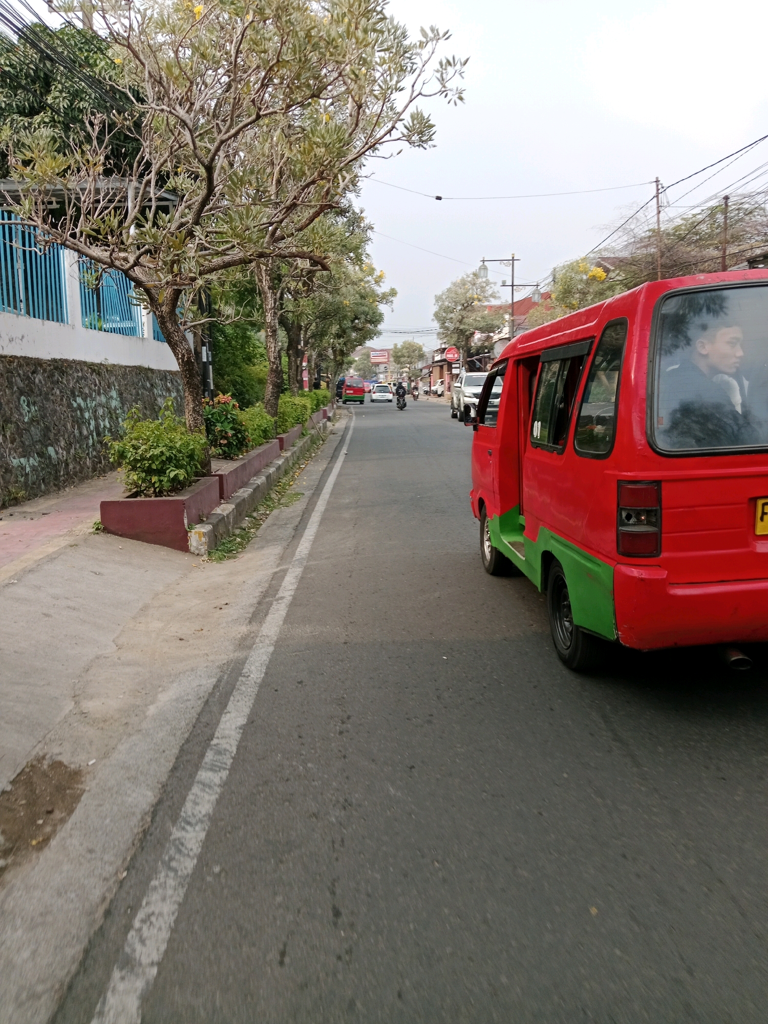 The image depicts a street scene in Cianjur, Indonesia, with a red and green van prominent in the foreground, partially obscuring other elements of the scene. The van is traveling on the right side of the road, indicated by the lane markings and its position relative to the sidewalk. A person, appearing to be a young male, is visible through the van's window, looking out.
The street itself is paved with asphalt, featuring a white lane divider. To the left of the road, there is a sidewalk constructed of concrete and red paving stones. Adjacent to the sidewalk is a low wall made of stone, topped with a blue fence and a row of trees. These trees are bare of leaves in some areas, with new growth and some yellow flowers visible. Bushes are planted in raised planters along the sidewalk.
In the background, the street continues, with other vehicles, including motorcycles and cars, visible further down the road. Buildings and trees line the street on both sides. The sky is overcast, suggesting a cloudy day. The overall impression is that of a typical urban street in Indonesia during daylight hours.