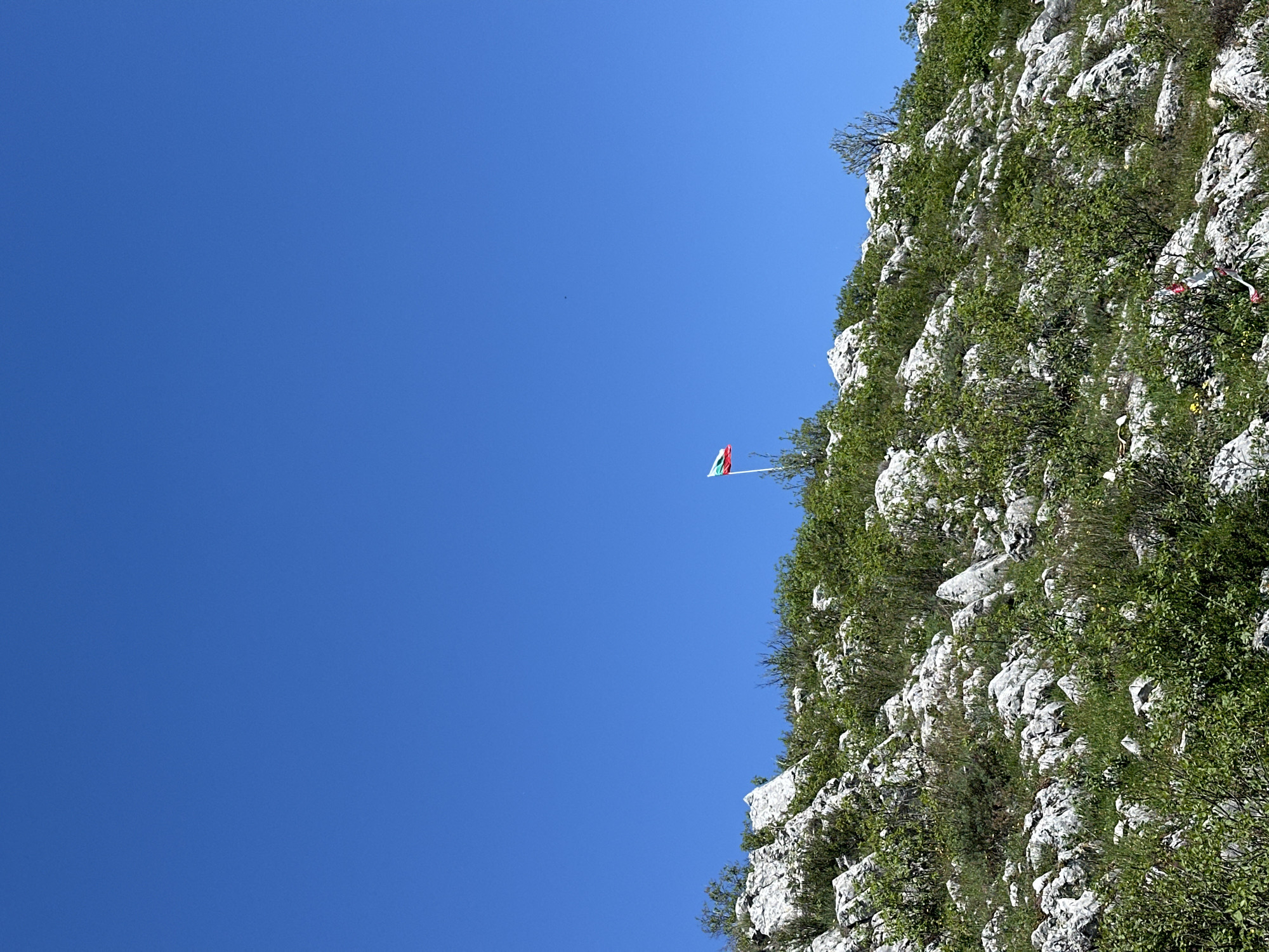 The image shows a rocky, plant-covered cliff face set against a clear blue sky. A Bulgarian flag is mounted on the cliff. It is located in Bilka, Bulgaria. There are no people visible, but rock-climbing equipment is present near the top of the cliff.