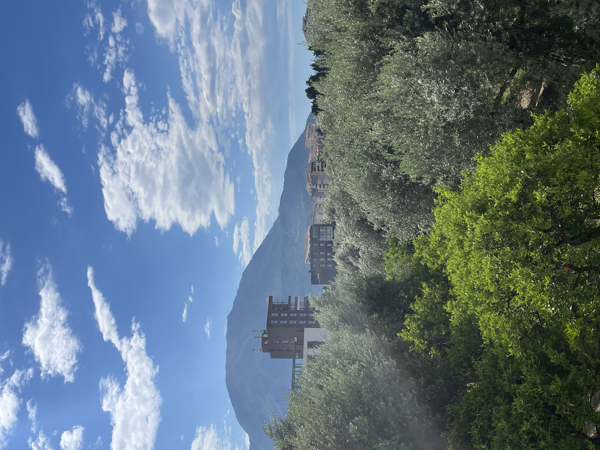 The image depicts a scene in Bar, Montenegro, with a view of a mountain range in the background. In the midground, there are several buildings. The foreground is dominated by trees with dense foliage of green and silver colors. The sky is blue with scattered white clouds. The image is slightly rotated, giving a tilted perspective.