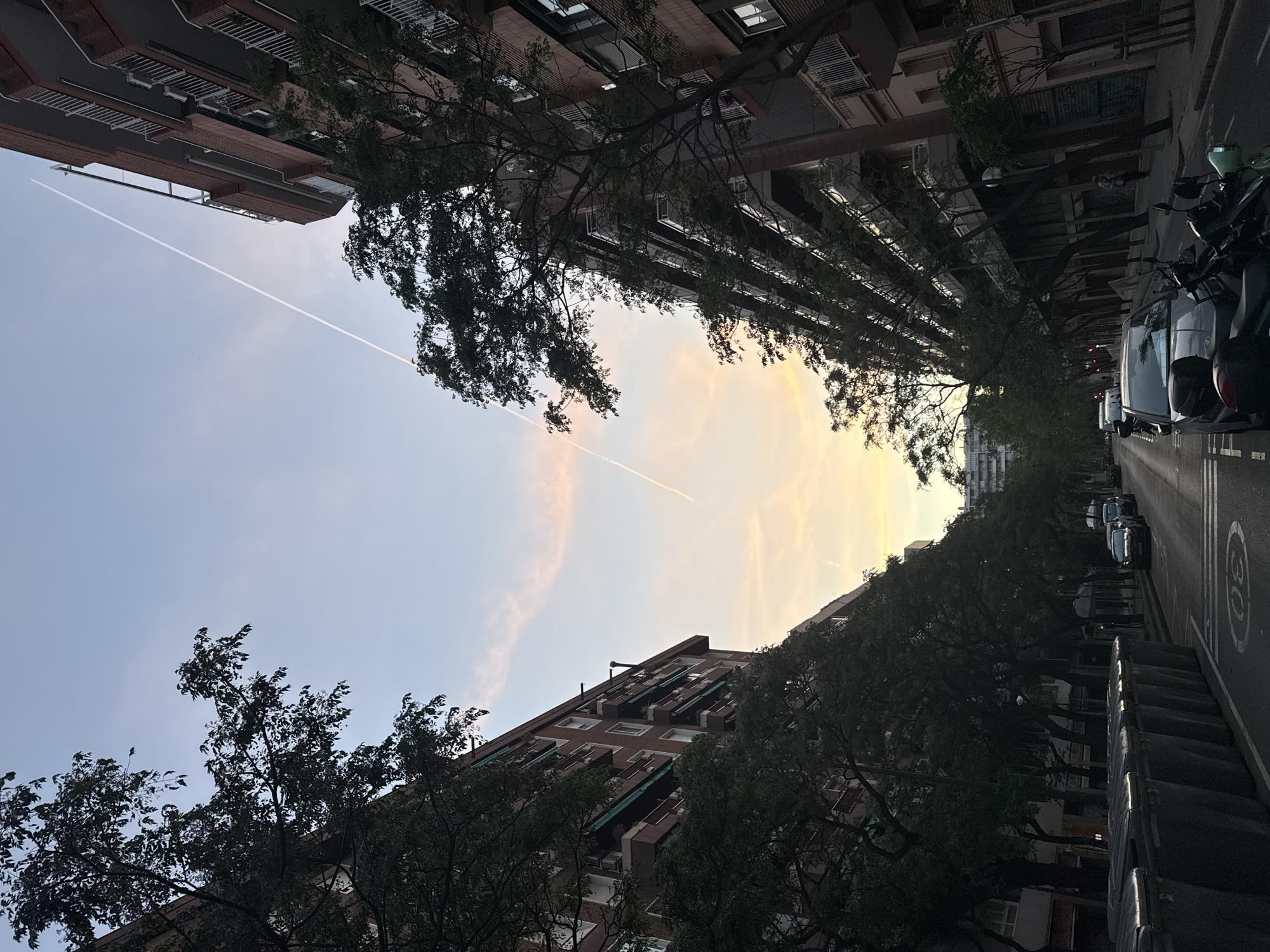 The image captures an urban street scene in Barcelona, Spain, looking upwards. Tall buildings line both sides of the street, partially obscured by trees with full foliage. The sky is visible between the buildings, with a contrail running across it, suggesting a high-altitude aircraft. Parked cars and scooters are visible along the right side of the street. A traffic speed limit marking is painted on the asphalt. The scene suggests a quiet residential street at dusk or dawn, given the soft lighting.