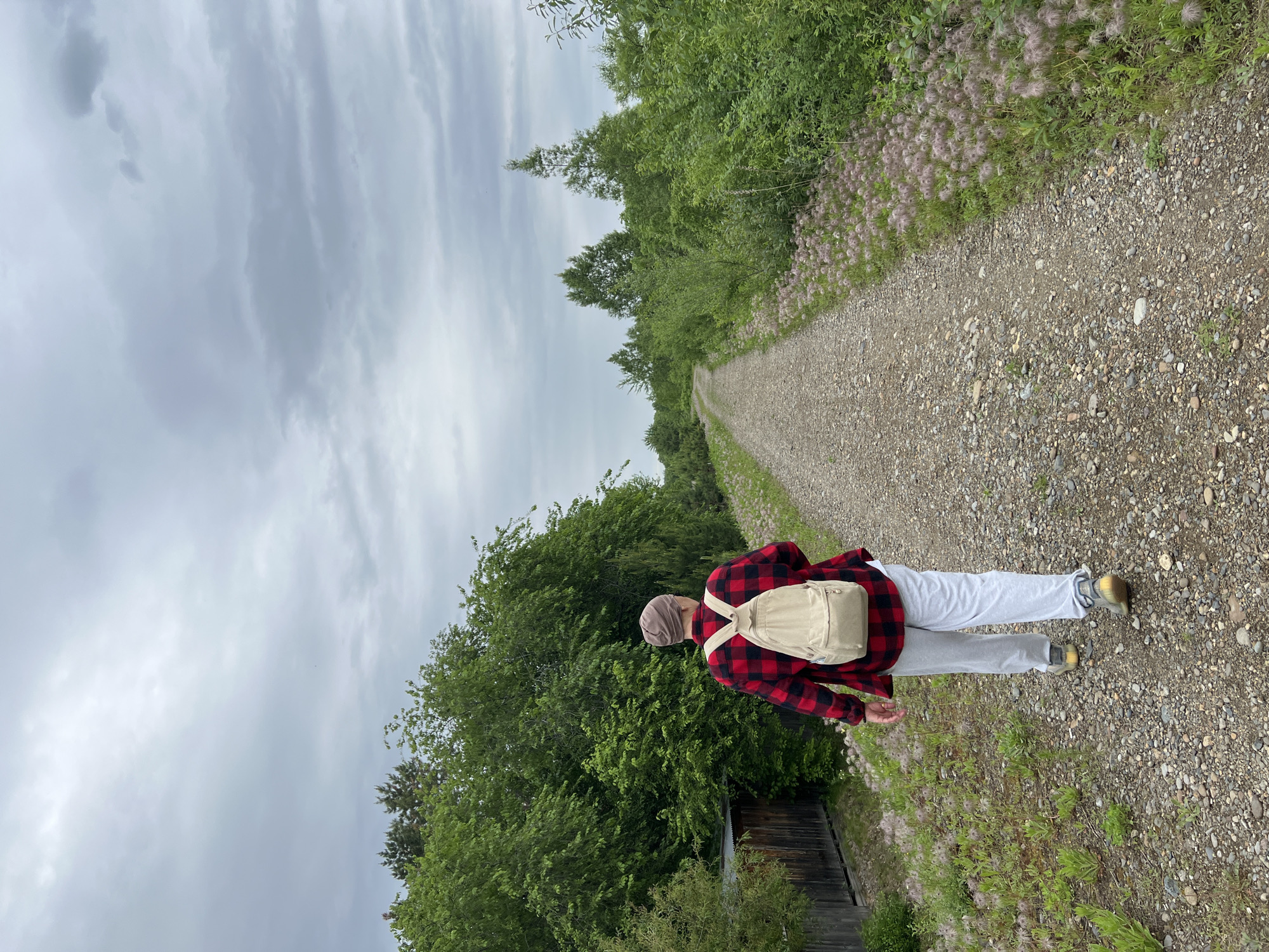 A person is seen from behind, walking along a gravel path in Khor, Russia, on an overcast day. The individual is wearing a red and black plaid shirt, light grey or white sweatpants, light-colored shoes with yellow accents, and a beige backpack. A light-colored head covering completes their attire. The path, composed of small stones and gravel, stretches into the distance, appearing to be a rural or wilderness trail.
On both sides of the path, dense green trees and bushes line the route. Along the right edge of the path, a striking border of plants with numerous light purple or pinkish, fluffy flower heads or seed pods adds texture and color to the scene. The sky above is entirely overcast, dominated by varying shades of grey clouds, indicating a cloudy or potentially rainy day without direct sunlight. In the lower left quadrant of the image, behind the person, a glimpse of a weathered wooden structure, possibly a small shed or fence, can be seen amidst the greenery. The overall scene suggests a quiet, contemplative walk through a natural landscape. No text is visible in the image.