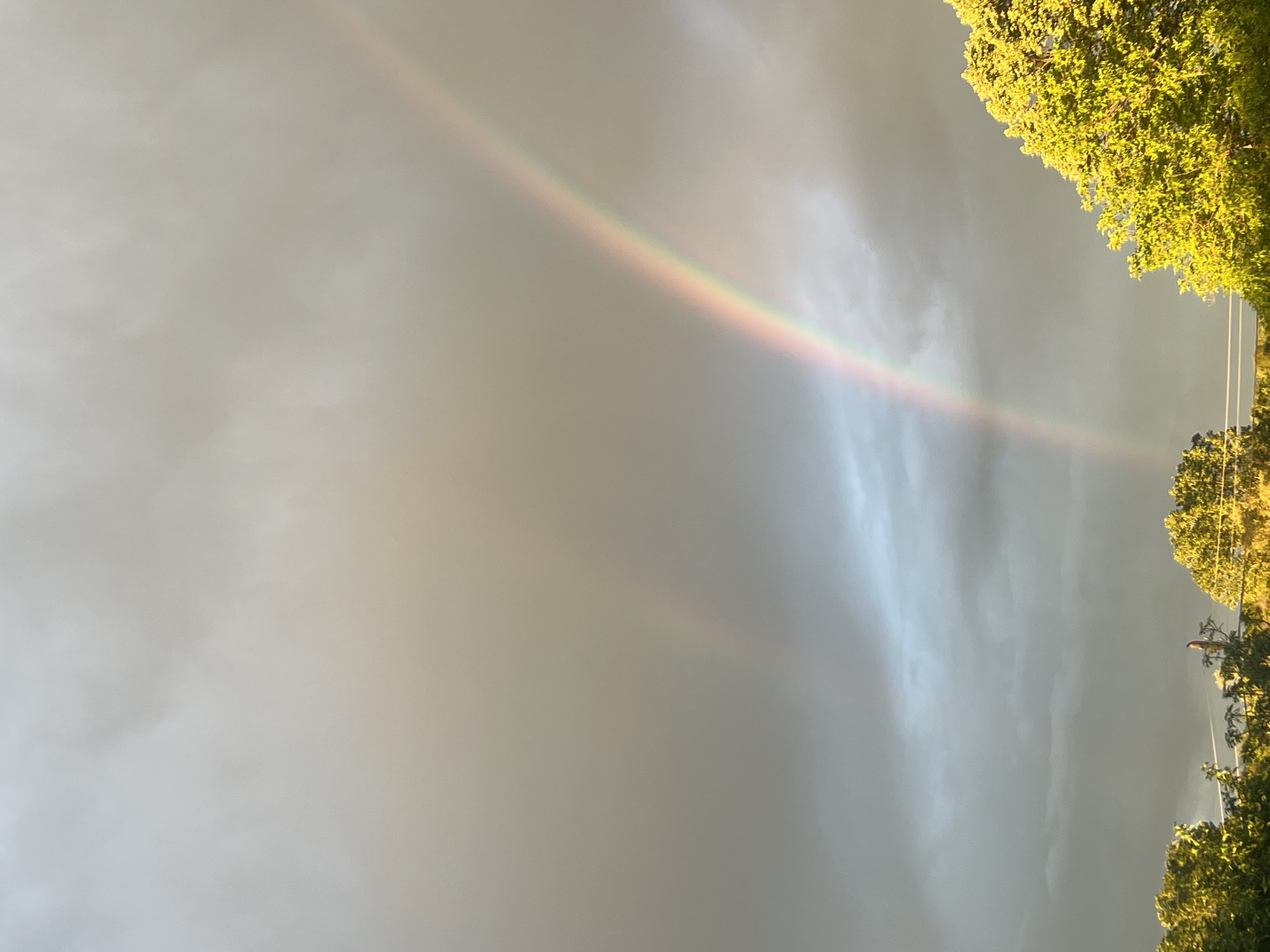 The image shows a partial rainbow arching across a cloudy, overcast sky. Green trees are visible along the right edge of the image, indicating an outdoor environment. Utility poles and wires are also present amongst the trees. The exact location in Zelenikovo, Bulgaria cannot be determined based solely on the image.