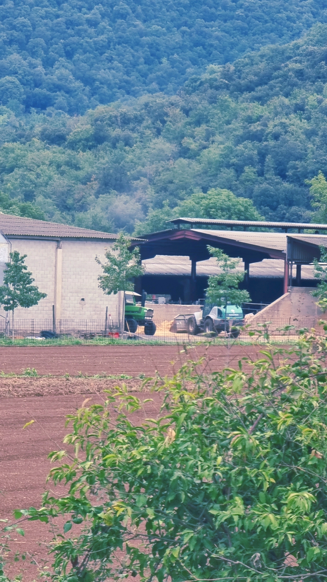 The image depicts a rural scene with agricultural buildings and fields, likely in La Canya, Spain. In the foreground, a freshly plowed brown field is visible, with lush green foliage obscuring the lower right portion of the frame. Behind the field, a building with a tiled roof and concrete walls stands to the left. Adjacent to it, a covered structure with a dark roof supported by posts houses what appear to be agricultural machinery, including two tractors. One tractor is bright green, and the other is a lighter green or teal color with a loader attachment. The background is dominated by a densely forested hillside. The lighting suggests it is daytime, possibly late afternoon or early evening, with soft shadows cast. No people are visible in the image.