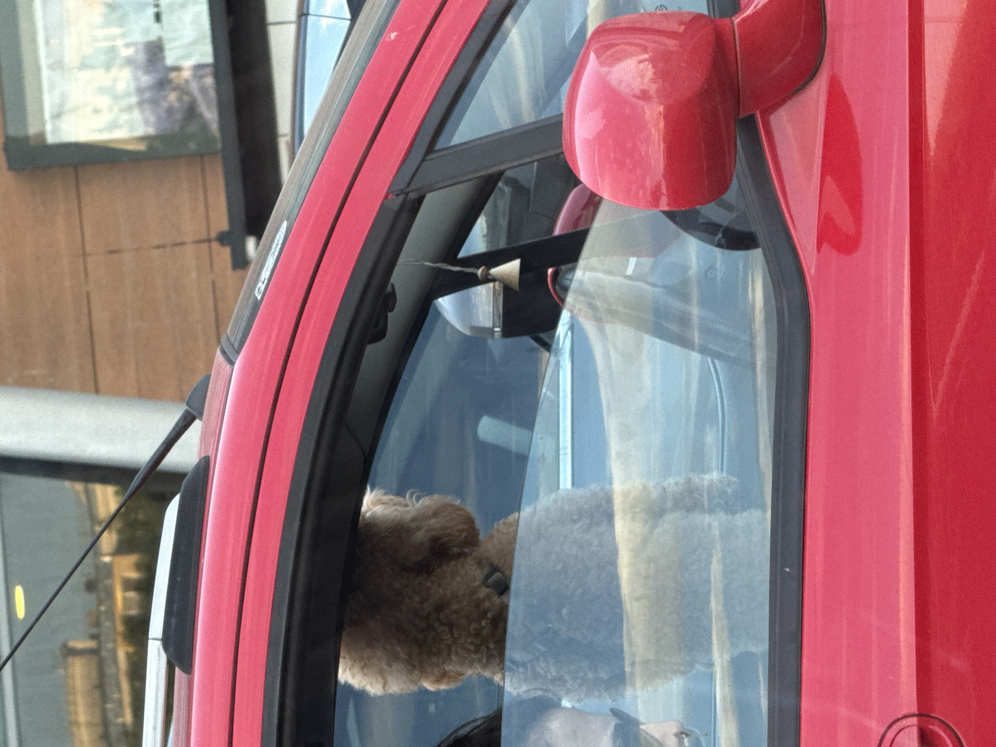 A medium, close-up shot focuses on the interior of a red vehicle, likely a bus or truck. A fluffy, light-brown dog is visible inside the vehicle, looking out through the driver's side window. The reflection in the window obscures the background. Parts of the vehicle visible include a red side mirror, and the window frame. The vehicle appears to be parked in an urban area in Burgas, Bulgaria, with the architecture outside visible only as indistinct shapes and colors in the window's reflection.