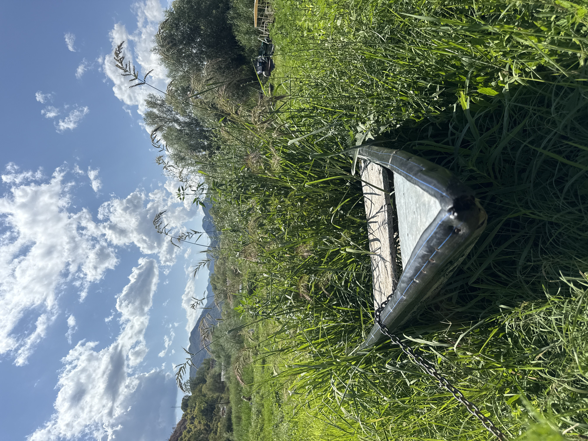The image depicts a narrow, v-shaped boat partially submerged in tall green grass and reeds. The boat is dark in color with a light wooden interior. A metal chain is attached to the left side of the boat. The scene is set outdoors with a bright blue sky filled with fluffy white clouds. In the background, there are rolling hills, trees, and more vegetation. The location appears to be a natural, possibly marshy or lakeside environment. This scene is likely situated in the vicinity of Vranjina, Montenegro, a village known for its proximity to Skadar Lake, which is characterized by lush vegetation and waterways. There are no people visible in the image.