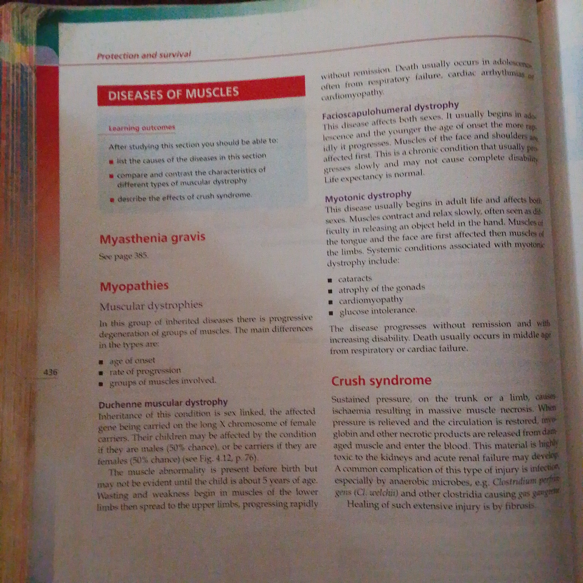 The image displays a page from a textbook, focused on "DISEASES OF MUSCLES." It details various muscular disorders such as Myasthenia gravis, Myopathies (including Muscular dystrophies), Facioscapulohumeral dystrophy, Myotonic dystrophy, and Crush syndrome. The text is structured with headings, bullet points, and descriptive paragraphs. The page number "436" is visible on the left side. There is no information related to Jalingo, Nigeria, or any forensic scene present in the image.