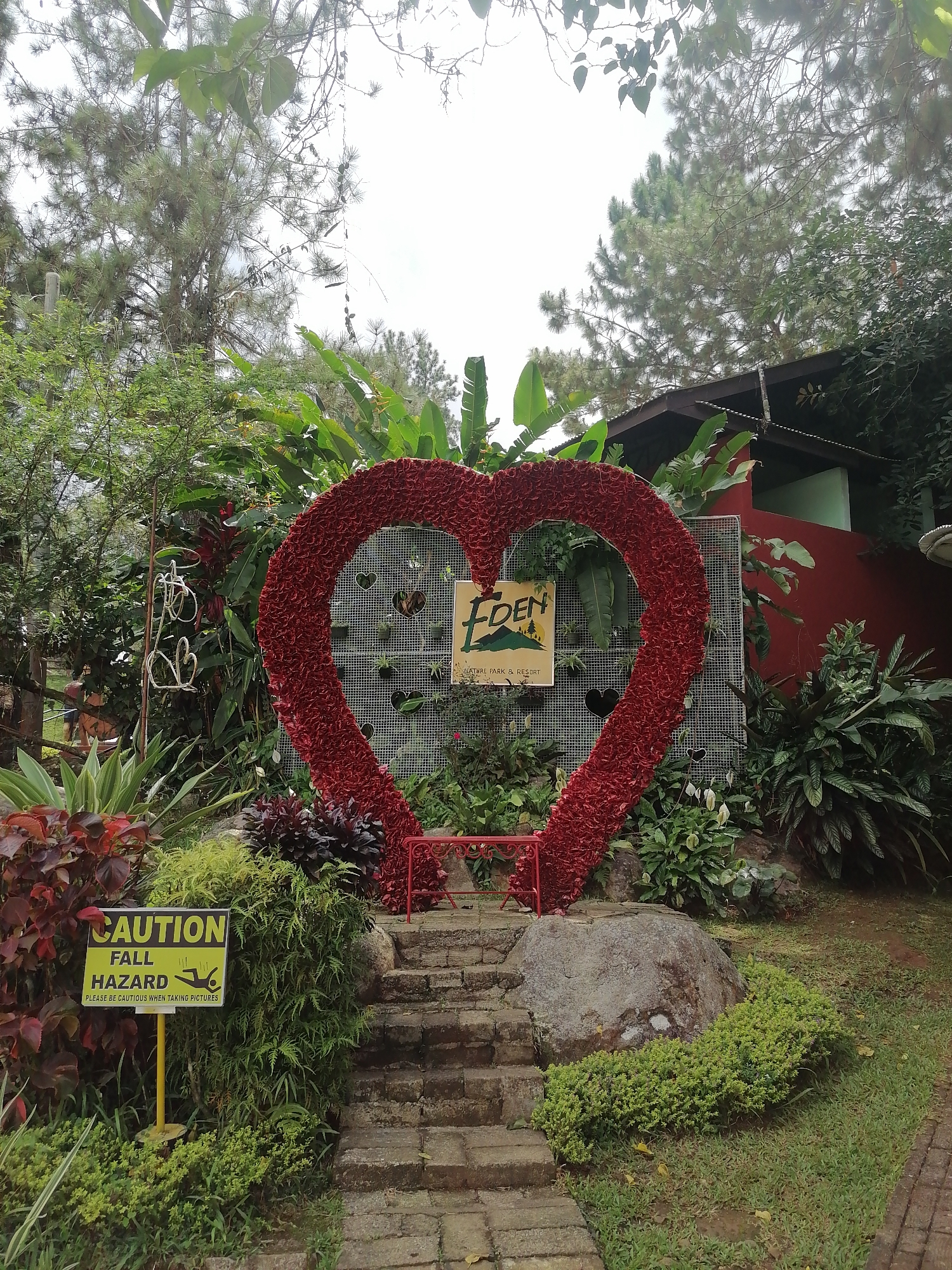 The image depicts a large, heart-shaped floral arrangement, predominantly red, situated outdoors in what appears to be a park or resort setting. Behind the heart, a wire mesh structure with small heart cutouts is visible, along with a sign that reads "EDEN NATURE PARK & RESORT" and features a graphic of trees and mountains. The heart is adorned with numerous red rose petals. In front of the heart, a red bench is placed on a stone platform.
To the left of the heart, a yellow sign with black text reads "CAUTION FALL HAZARD PLEASE BE CAUTIOUS WHEN TAKING PICTURES" accompanied by an icon of a falling person. The ground is paved with stones, forming a path leading up to the heart. Various plants and foliage surround the area, including lush green bushes and plants with reddish leaves. In the background, a red building with a dark-colored roof is partially visible, nestled amongst trees and greenery. The sky is overcast.
This scene is located at Eden Nature Park & Resort in Calinan, Davao City, Philippines, a popular tourist destination known for its natural beauty, themed gardens, and recreational activities.