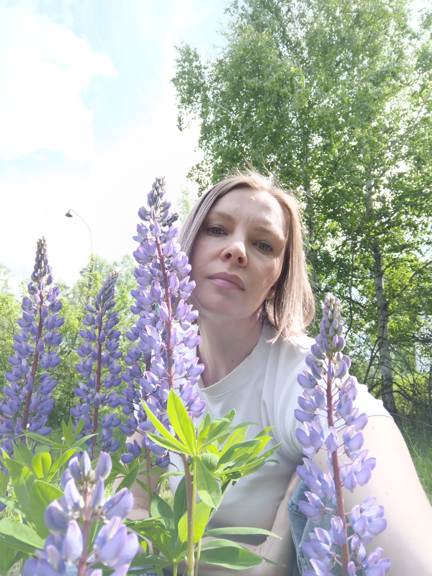 A close-up outdoor portrait features a woman posing among vibrant purple lupine flowers. The woman, with light brown or blonde, shoulder-length hair, looks directly at the camera with a calm, neutral expression. She is wearing a simple white t-shirt, visible around her upper body and arm.
Several tall stalks of purple lupines dominate the foreground and midground, framing the woman on both sides. Their distinctive conical flower spikes and green palmate leaves are prominent and in sharp focus. In the background, numerous green trees, appearing to be birches with their light trunks, form a dense natural canopy. The sky above is bright and partly cloudy, indicating a clear, sunny daytime setting. A faint street lamp post is visible in the upper left distance, suggesting a natural area perhaps bordering a road or park. The overall impression is one of a serene natural environment. There is no visible text in the image.