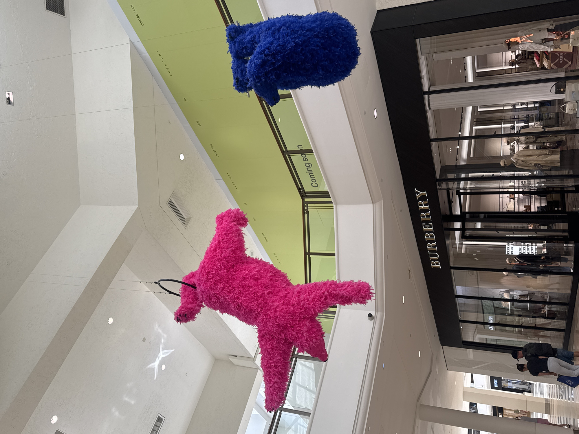 The image captures an indoor scene within a shopping mall environment, specifically at Aventura Mall in Aventura, Florida, United States. The mall is characterized by high ceilings and well-lit spaces. Suspended from the ceiling are two large, fluffy, animal-like sculptures: one in a vibrant pink, resembling a dog or similar four-legged creature, and another in a deep blue, positioned higher up.
Adjacent to these sculptures is a Burberry store, indicated by the large "BURBERRY" sign above the store window. Through the store window, mannequins displaying clothing are visible, suggesting a fashion retail setting.
Near the Burberry store, there are people walking by, implying the presence of shoppers. The scene is angled upwards, focusing on the suspended sculptures and the Burberry store, indicating the perspective of someone looking up within the mall. The color palette is dominated by the bright pink and blue of the sculptures, contrasted by the black of the Burberry store front and the neutral tones of the mall's interior. The setting implies a contemporary retail environment with artistic installations.