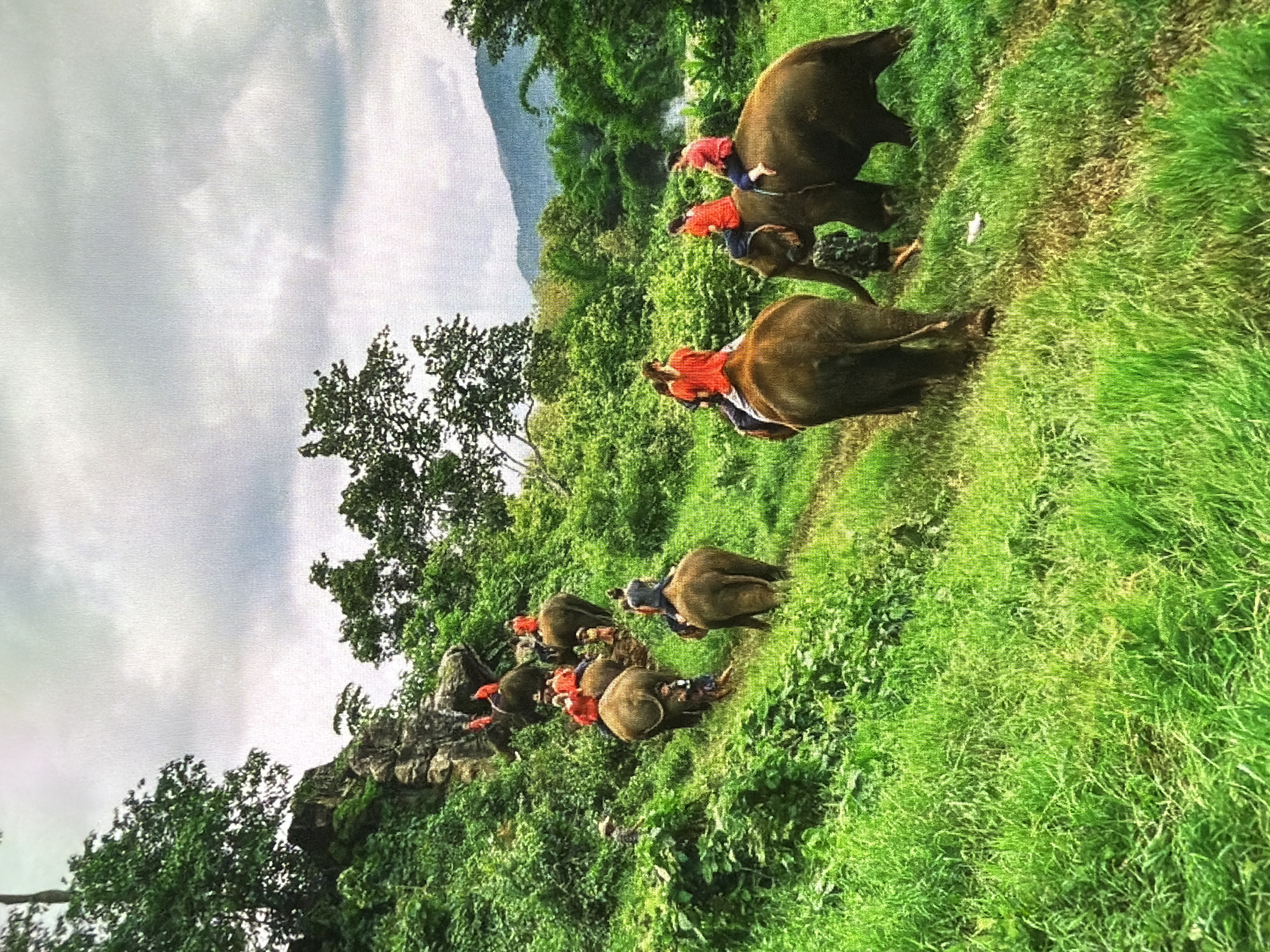 A line of elephants, each with one or two people on its back or neck, is depicted moving along a grassy path in a lush green landscape. There are at least six elephants visible, walking in a single file up a gentle incline from the foreground towards the middle ground. The people riding the elephants are wearing red shirts and blue trousers.
The setting is characterized by abundant, vibrant green grass and dense foliage, including numerous trees with dark green leaves. In the background, rolling mountains can be seen under a cloudy, light grey sky. The lighting appears diffused, suggesting either an overcast day or perhaps early morning/late afternoon. The ground beneath the elephants is a mix of green grass and dirt, indicating a well-worn trail. No text is visible in the image.