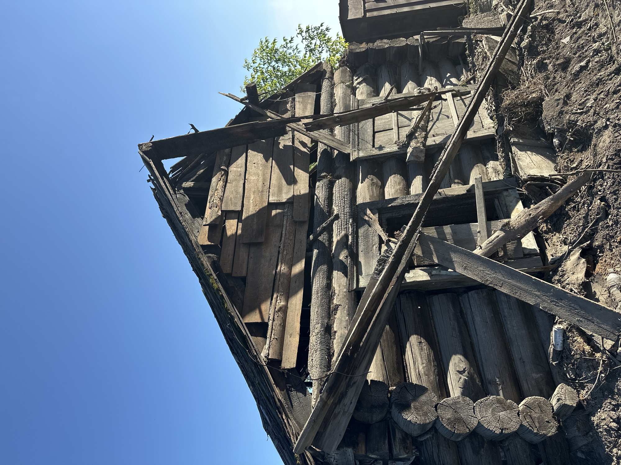 The image depicts the partially collapsed remains of a wooden log cabin, likely the aftermath of a fire, under a clear blue sky. The structure shows significant charring and structural damage. Large logs form the walls, and the roof is severely compromised, with exposed beams and missing shingles. Debris, including splintered wood and dirt, is scattered around the base of the cabin. A tree with green foliage is visible to the right of the structure, contrasting with the destroyed building. The overall scene suggests abandonment and decay. The provided location information, Biysk, Russia, indicates a rural or semi-rural setting typical of such older wooden structures in the region.