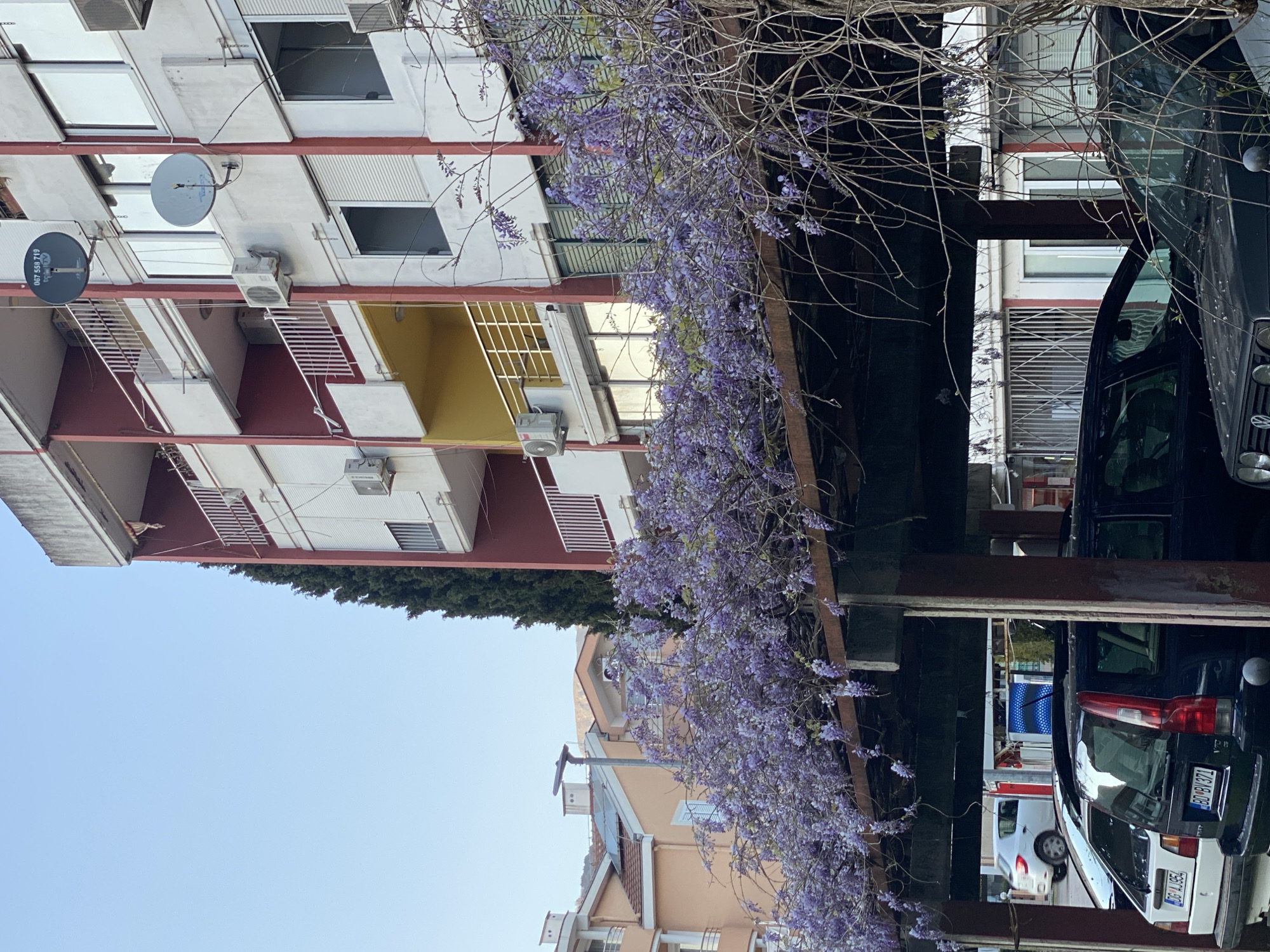 The image shows a vertical view of a building in Budva, Montenegro. A multi-story building with a white facade and red accents is on the left side of the image, partially obscured by purple wisteria. The building features balconies with white railings, windows with closed shutters, and satellite dishes. The right side of the image shows parked cars under a structure made of metal beams. A blue sky is visible in the lower-left corner of the image.