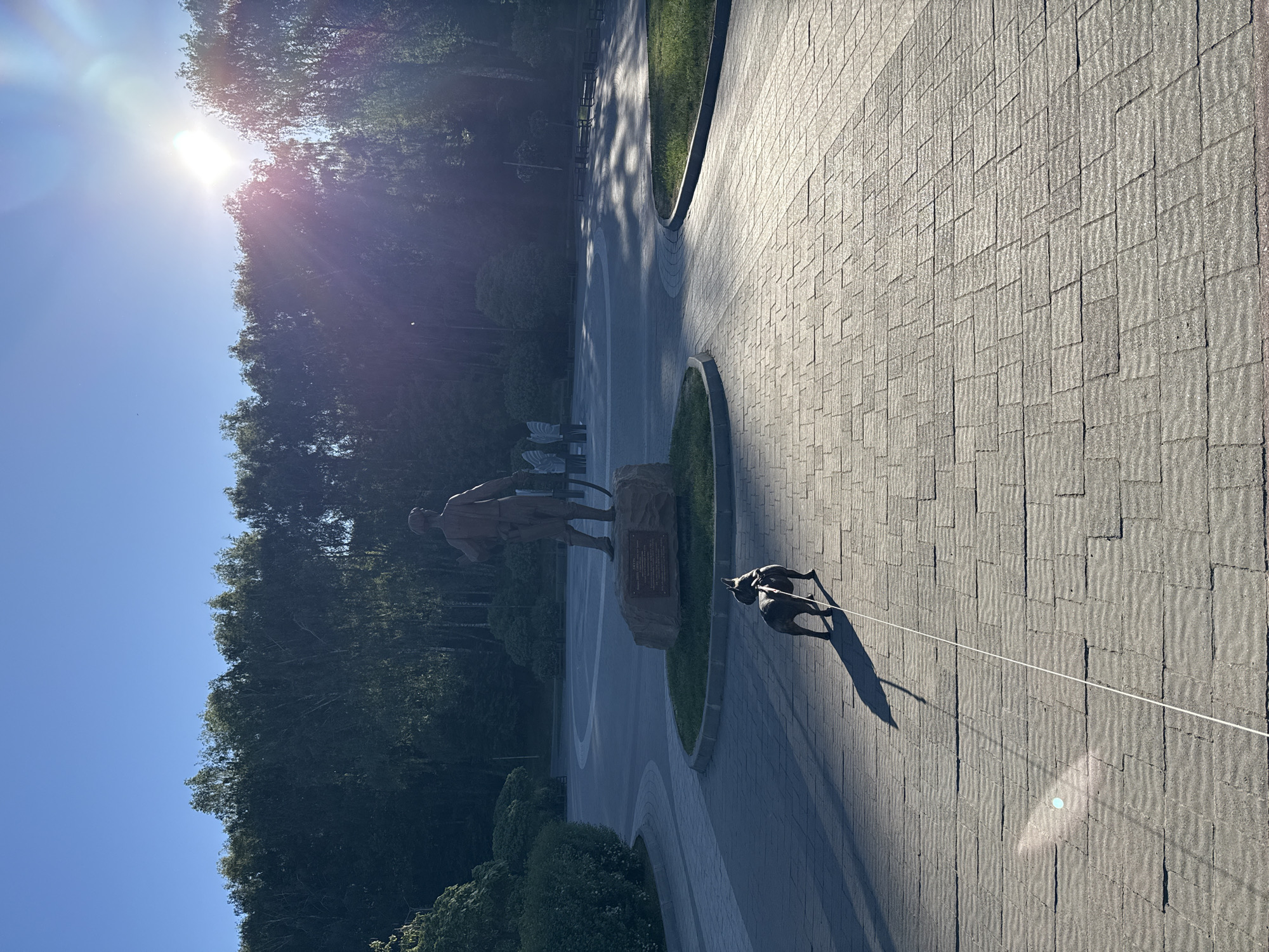 The image depicts a sunny outdoor scene in Ternopil, Ukraine. A statue of a soldier stands on a roundabout, surrounded by trees and foliage. A dog on a leash is walking on a paved walkway, its shadow visible on the ground. The sky is blue with the sun shining brightly, causing lens flare. The walkway is constructed of rectangular grey paving stones.