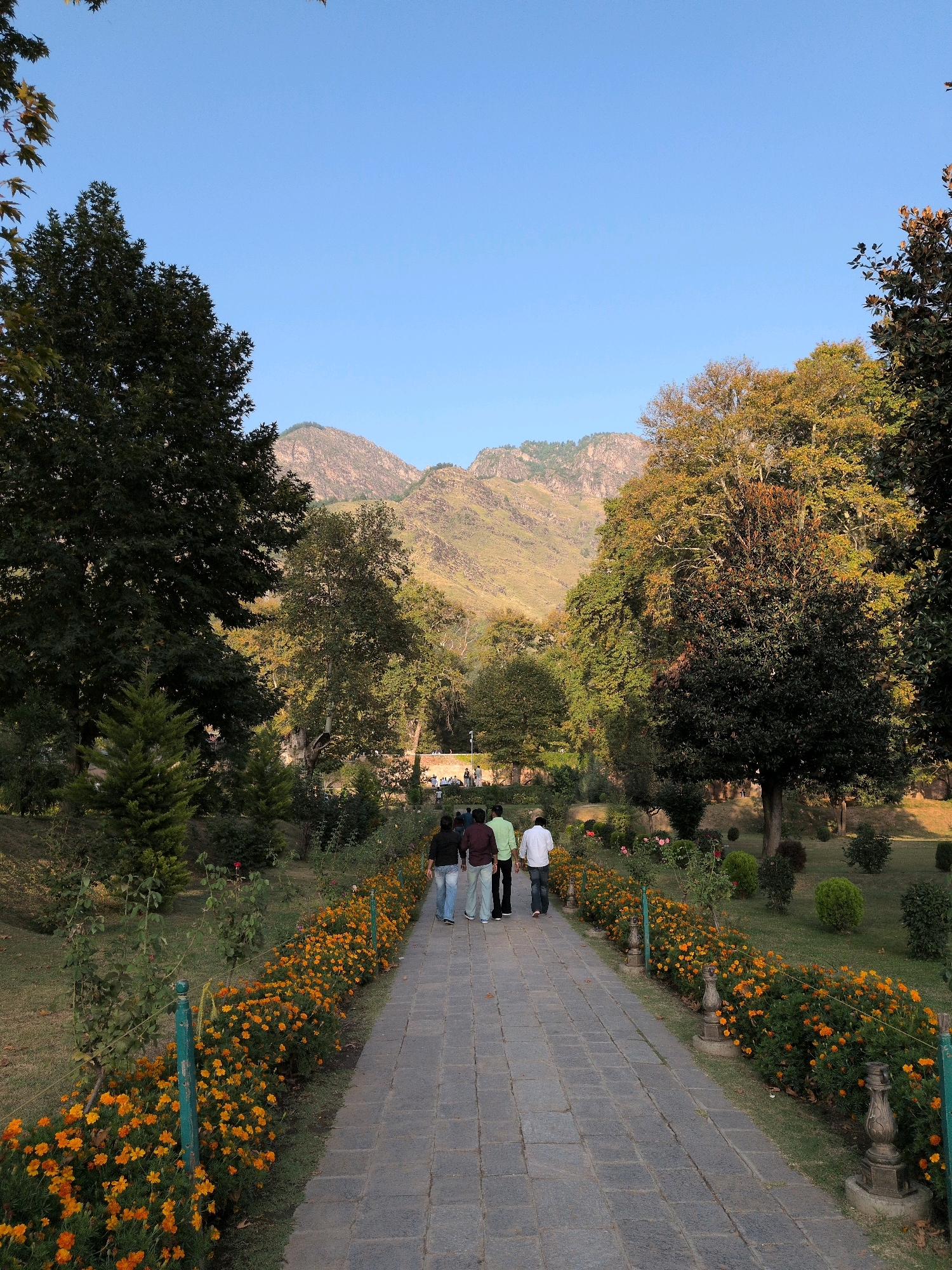 The image depicts a garden pathway in Srinagar, India, likely during autumn. A stone-paved walkway stretches into the distance, flanked by vibrant orange marigold flowers and manicured greenery. Several individuals, appearing to be tourists, walk away from the camera down the path. In the background, lush trees with some autumn foliage surround the garden, leading to a backdrop of majestic, sun-kissed mountains. The clear blue sky above suggests a pleasant day.