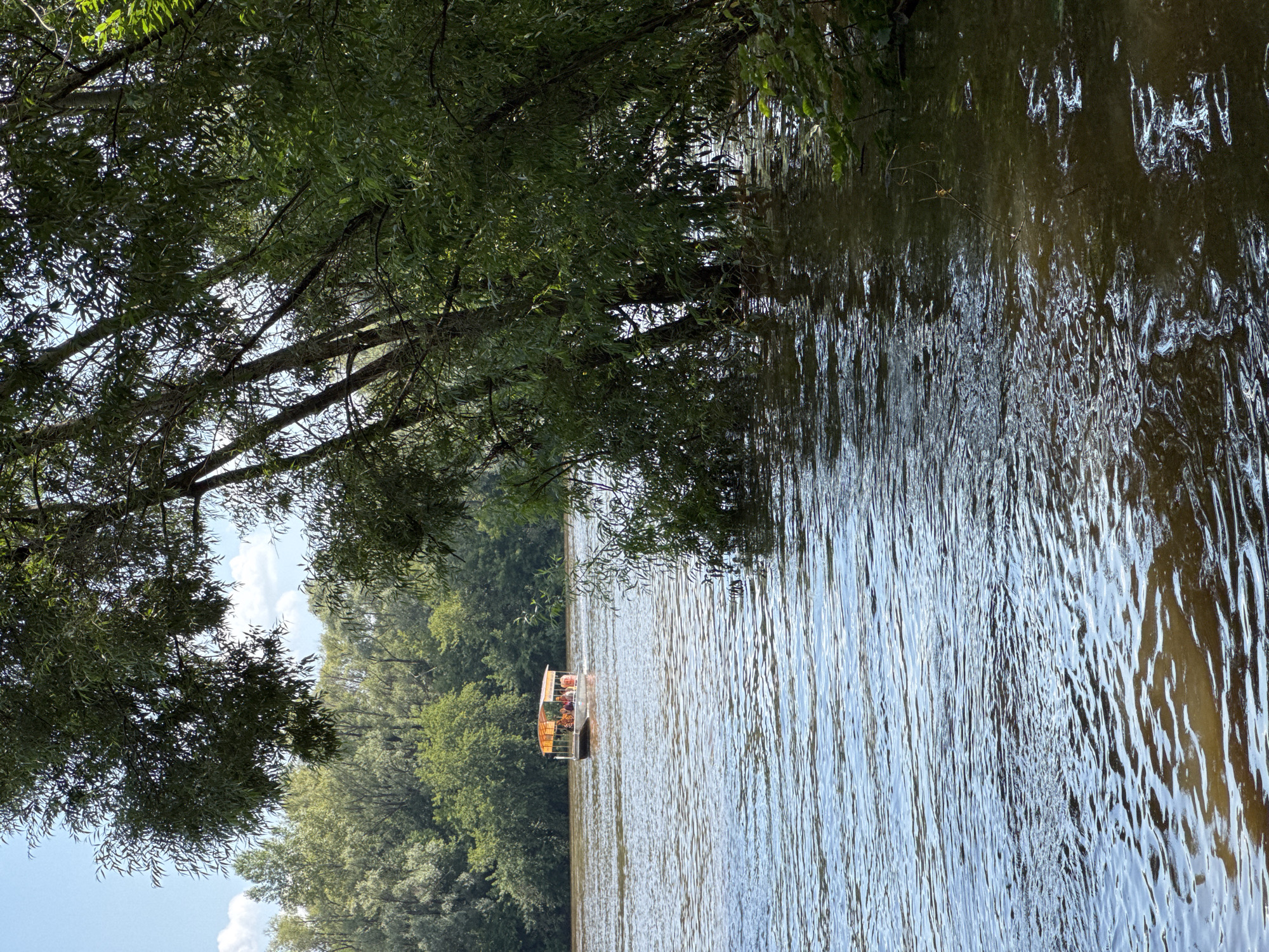 The image depicts a river scene with a small passenger boat on the water. Lush green trees line the riverbanks, with some branches extending over the water, partially obscuring the view. The boat, with an orange canopy, appears to be carrying several passengers. The water is rippled, reflecting the sky and surrounding foliage. The overall impression is one of a calm, natural environment, possibly during a sunny day. The presence of a river with trees and a boat suggests a location where recreational activities on the water are possible. This scene could be located along the banks of the Belaya River in Ufa, Russia, known for its scenic beauty and recreational opportunities.