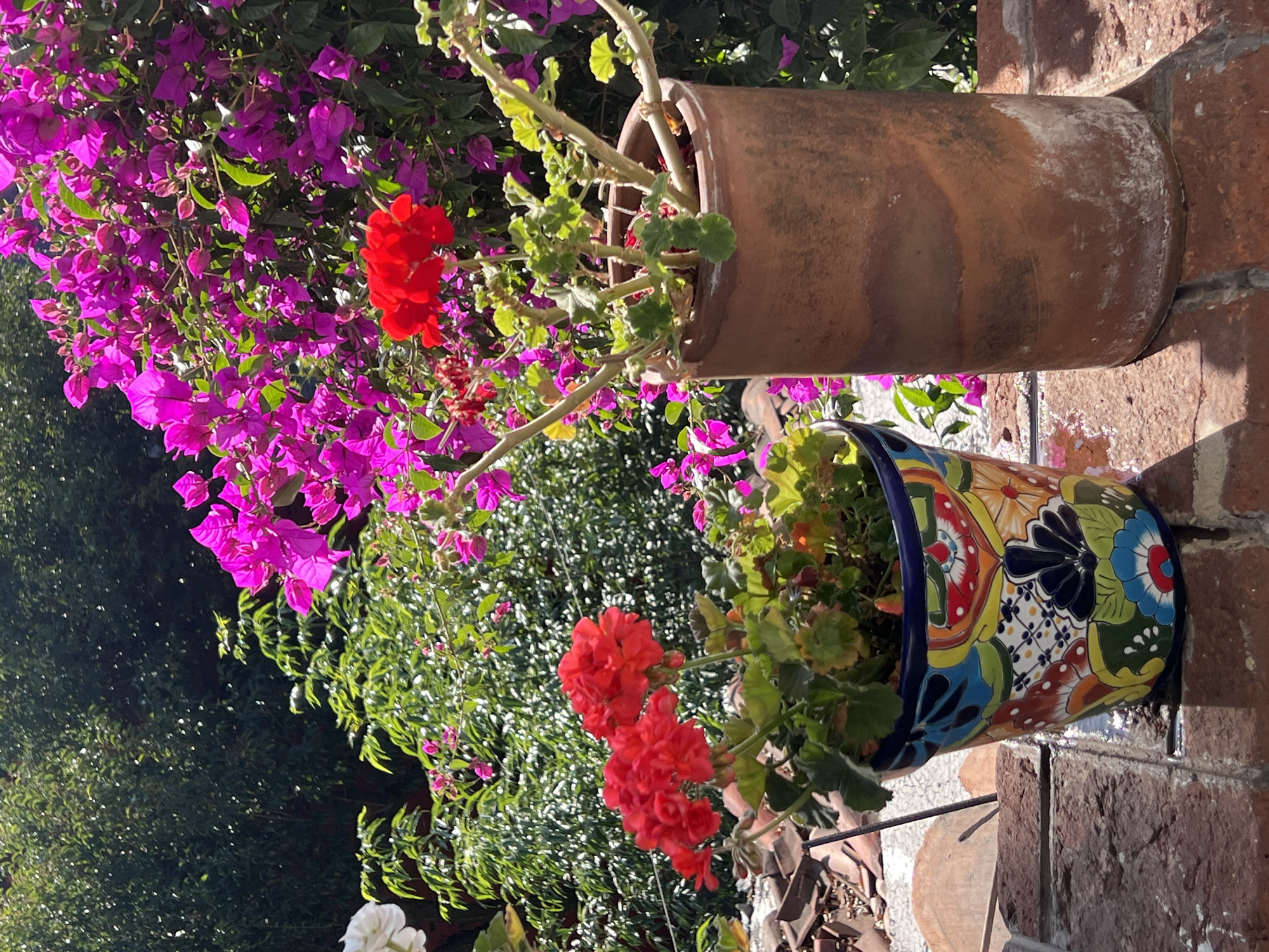 Two flower pots are mounted on a brick wall. The top pot is plain terracotta and contains a geranium plant with a few red flowers. The lower pot is brightly colored with a blue rim and contains a geranium plant with red flowers. Purple bougainvillea flowers are visible to the left of the pots. Green bushes are visible in the background. The location is likely Mexico City, Mexico, based on the style of the lower pot.