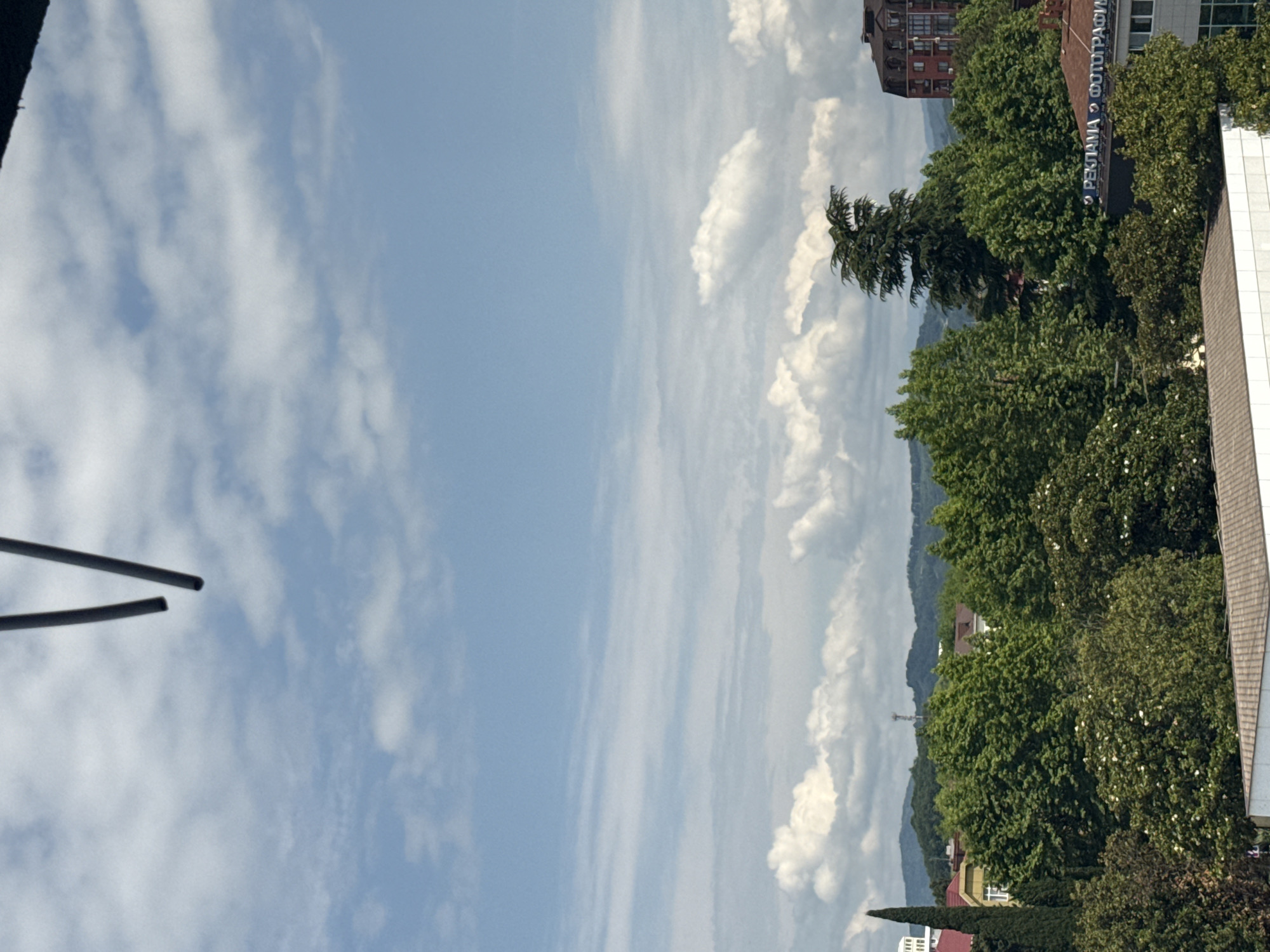 This is a medium shot, outdoor, eye-level photograph, taken during the daytime, looking up and out over a densely wooded area in the city of Sochi, Russia. The sky is a bright blue with scattered, puffy white clouds. In the foreground, the tops of several buildings are visible, including a white building with a tiled roof and a taller, red-brick building with a mansard roof. The buildings are surrounded by a variety of green trees, with some white blossoms visible on some of the trees. A tall, slender evergreen tree stands to the left of the frame. In the distance, rolling hills can be seen under the cloudy sky. A sign with Russian text, "РЕКЛАМА? ФОТОГРАФИИ," is visible on a building in the middle ground. The overall scene depicts a lush, green urban landscape with mountainous terrain in the background, under a bright, partially clouded sky.