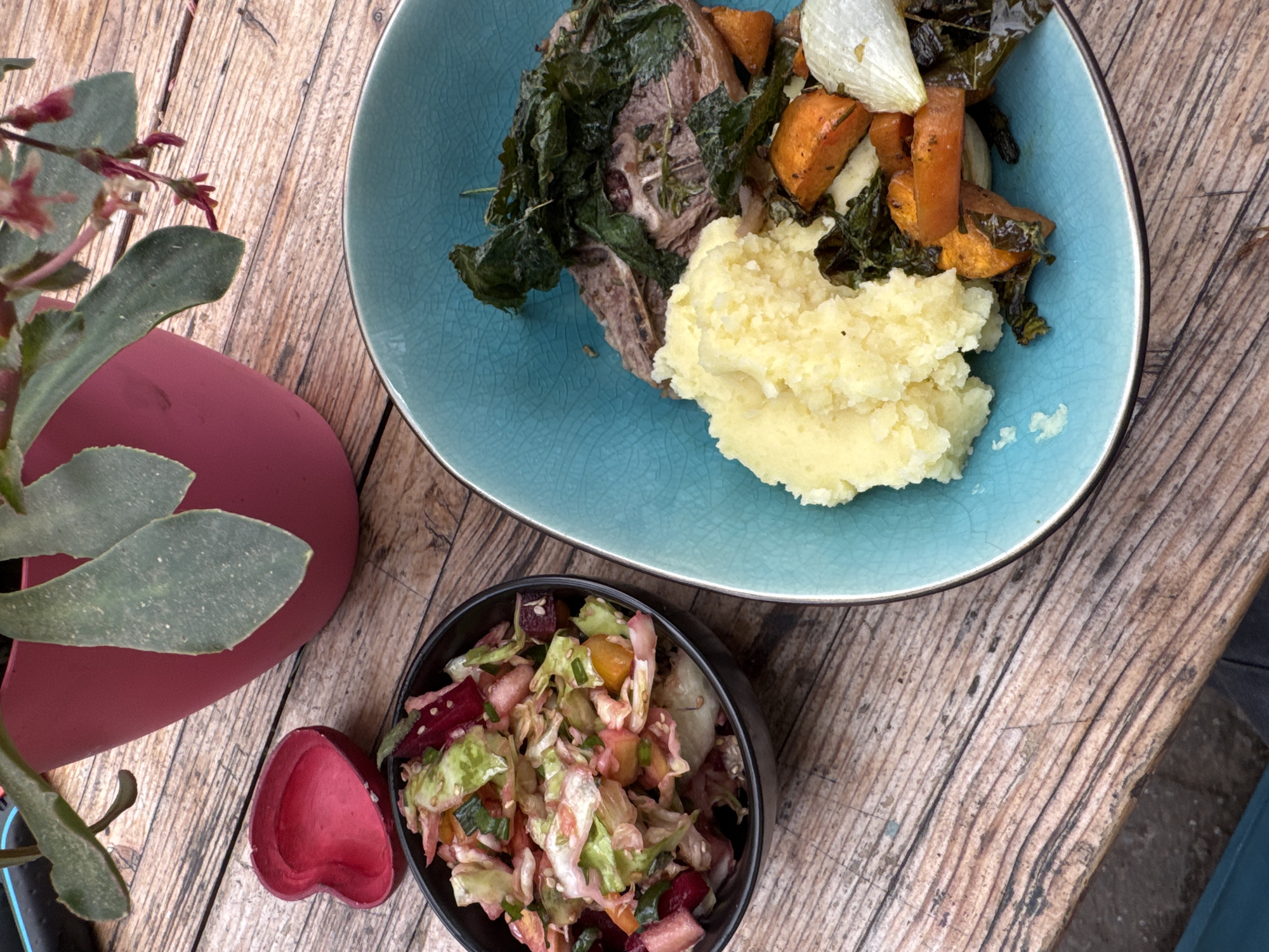A close-up, top-down shot shows a meal on a weathered wooden table. In the foreground, a blue, textured bowl contains mashed potatoes, roasted sweet potato chunks, and wilted kale, alongside a piece of meat. To the left, a smaller black bowl holds a colorful salad with cabbage, beets, and what appear to be sesame seeds. A small, red, heart-shaped dish sits empty between the two bowls. In the background, a pink planter holds a succulent plant with green leaves and small pink flowers. The lighting suggests it is daytime, likely outdoors due to the rustic wooden surface. There are no people or animals visible.