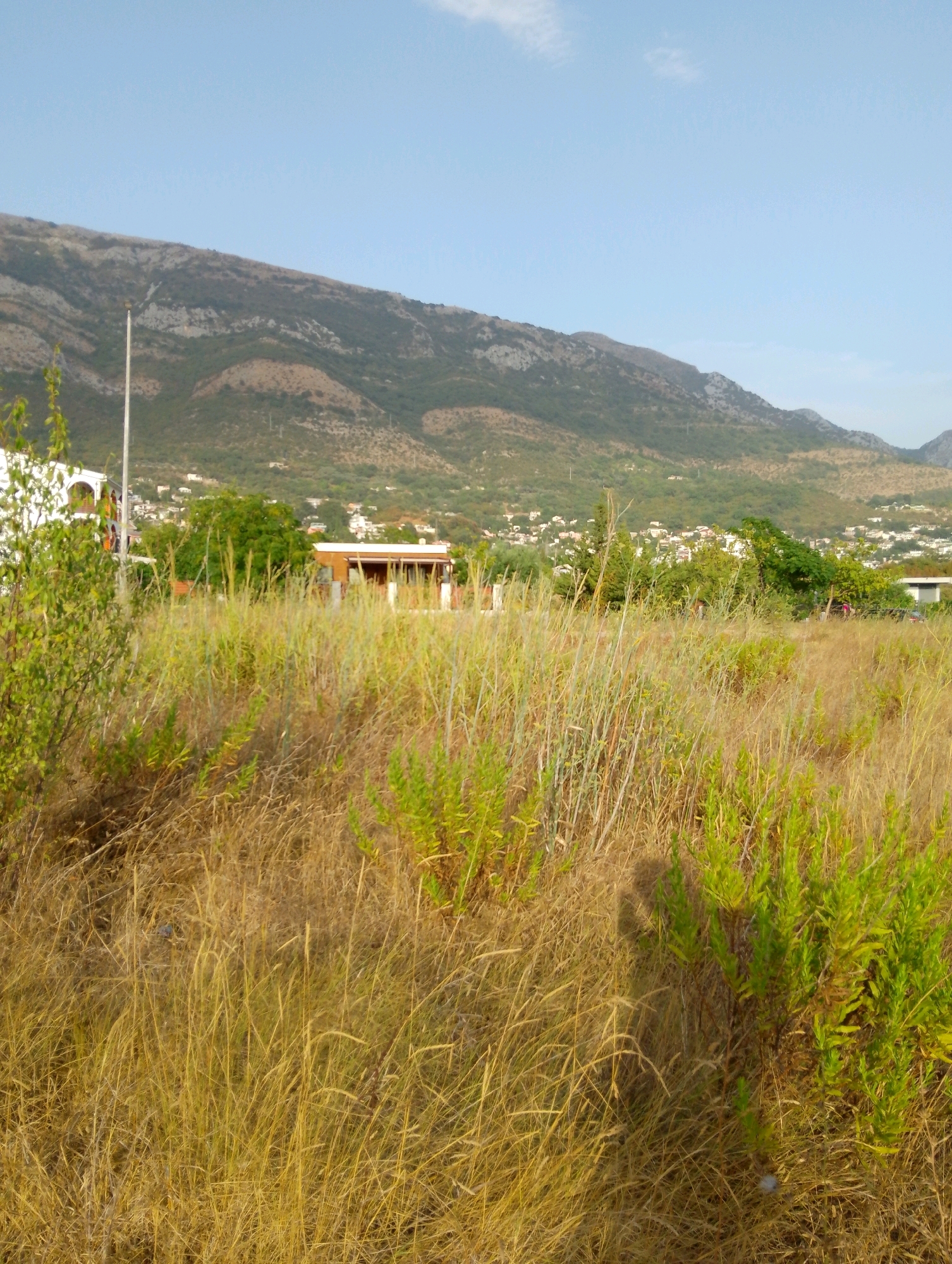 This is a landscape image of a rural area in Sutomore, Montenegro, bathed in natural sunlight under a clear blue sky. The foreground is dominated by tall, dry, yellow grass and some green vegetation. In the middle ground, there are several buildings, including a white structure with arched windows and a long, low building with a brown roof and white trim. A street light stands tall between the white building and the brown-roofed structure. Further in the distance, a hillside is covered with green trees and scattered white houses, indicative of a settlement. The background features a large, imposing mountain range with rocky, barren slopes and patches of green vegetation. The overall impression is one of a natural, somewhat undeveloped setting on the outskirts of a town.