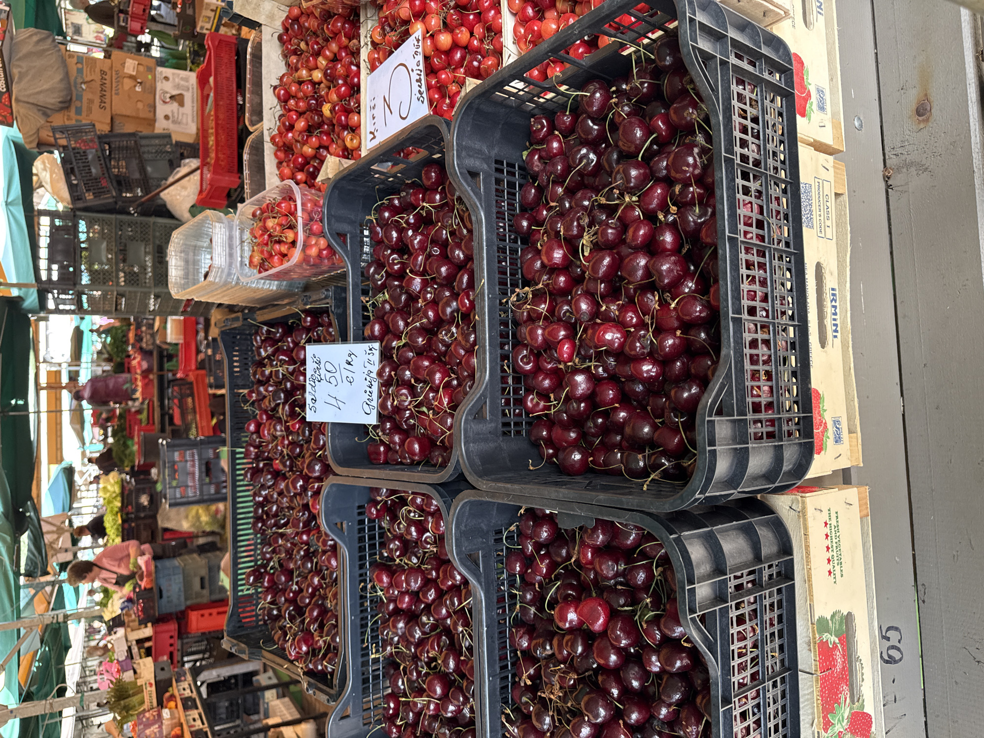 This is a street market scene in Riga, Latvia. The foreground is dominated by several black plastic crates filled with dark red cherries. The crates are stacked on top of each other and placed on wooden pallets. In the middle ground, more cherries are visible in plastic containers and red crates. Several handwritten price signs are placed among the fruit, one indicating "Salducišs Kirš" with a price of "4.50 €/Kg". Behind the cherries, the market stalls are visible with various fruits and vegetables, as well as people shopping. One woman in a pink shirt and apron is visible behind a stall. The market appears to be covered by awnings and umbrellas, providing shade. The overall impression is of a busy, open-air market on a bright day.