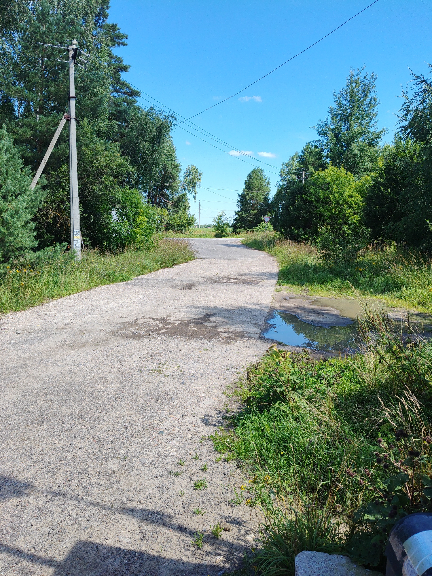 The image shows a dirt road curving through a rural area with dense green trees and vegetation on both sides under a clear blue sky. A utility pole with wires is visible on the left side of the road. There is a large puddle of water on the right side of the road, reflecting the sky and surrounding greenery. The road surface appears worn and uneven, with patches of gravel and some damp areas. The overall scene suggests a quiet, undeveloped or semi-developed location, consistent with the outskirts of a town like Sosnovyy Bor, Russia. There are no people or animals visible in the image.