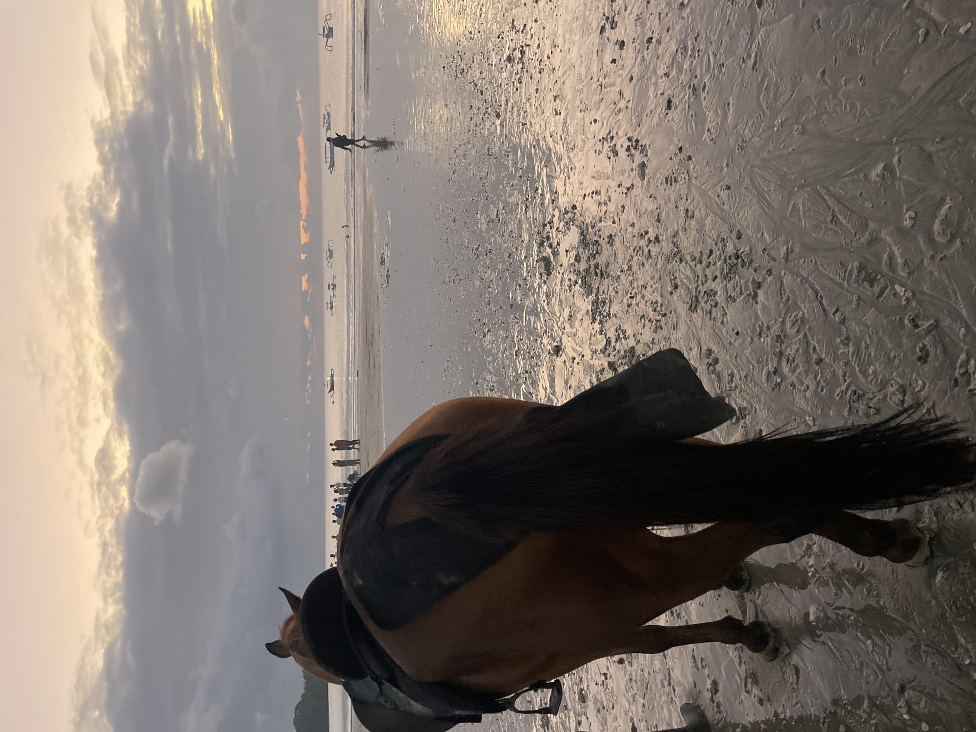 An overcast, twilight sky with streaks of pale orange and yellow hovers above a sandy beach. The tide is out, leaving a wet, reflective surface dotted with small stones and shells. In the foreground, the hindquarters and tail of a brown horse with a black saddle are visible. The horse is facing away from the viewer, standing on the wet sand. In the mid-ground, a group of people are gathered near the water's edge, some appearing to be watching the sunset or the activity on the sea. Several small, outrigger-style boats are scattered on the calm water. A lone figure walks across the wet sand in the distance. The scene suggests a serene, possibly tropical, coastal environment at dusk.