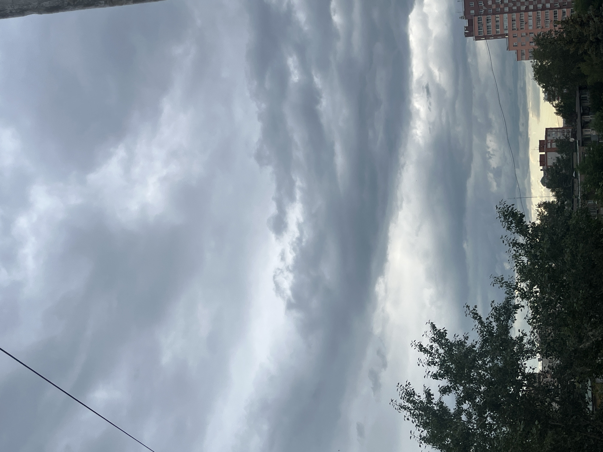 The image captures an overcast sky above a cityscape, likely Chelyabinsk, Russia. The sky is dominated by thick, grey clouds with some lighter patches suggesting diffused sunlight. In the foreground, a large tree with dark green foliage extends from the left side of the frame, its branches reaching upwards. Behind the tree, several buildings are visible, including a tall, multi-story apartment building with a reddish-brown brick facade and pink sections on the right. To the left and center, other buildings of varying heights and architectural styles are partially obscured by trees and the distance. Power lines are strung across the sky, one prominent black line diagonally crossing the upper portion of the image. The overall scene depicts an urban environment under a cloudy sky.