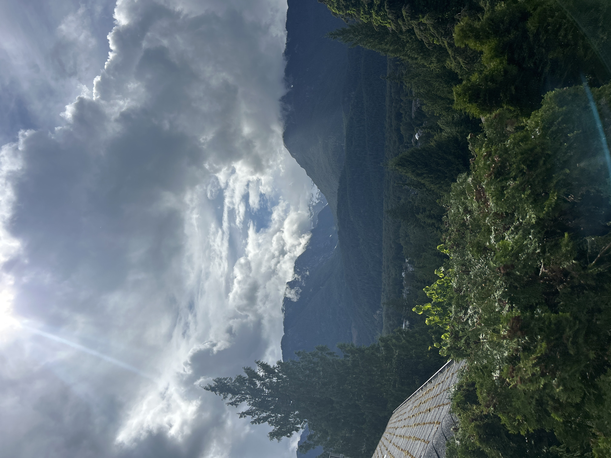 This image presents a dramatic mountainous landscape, likely captured from an elevated vantage point within or immediately surrounding Squamish, British Columbia, Canada. The sky is predominantly overcast with extensive grey clouds, though a bright sun in the upper left corner pierces through, emitting distinct sunrays and causing a blue lens flare in the lower right. Patches of lighter sky are visible between the dense cloud formations.
In the background, a vast range of dark green, heavily forested mountains stretches across the horizon. Several distant peaks display visible patches of snow or ice, while other mountain summits are partially obscured by low-hanging white and grey clouds or fog.
The mid-ground reveals a wide valley floor densely covered in evergreen forest. Within this forested expanse, scattered residential structures and the outlines of a small community are discernible, indicating human settlement amidst the natural environment.
The foreground is filled with various types of lush foliage. The upper portion of a dark, shingled roof, possibly with moss growth, is visible on the lower left. A tall, dark green coniferous tree stands prominently on the left side, extending into the mid-ground and partially obscuring the mountain range. Additional dense evergreen and deciduous shrubs and trees occupy the lower and right sections of the frame, with some leaves brightly illuminated by the sun. No people or animals are visible in the scene.