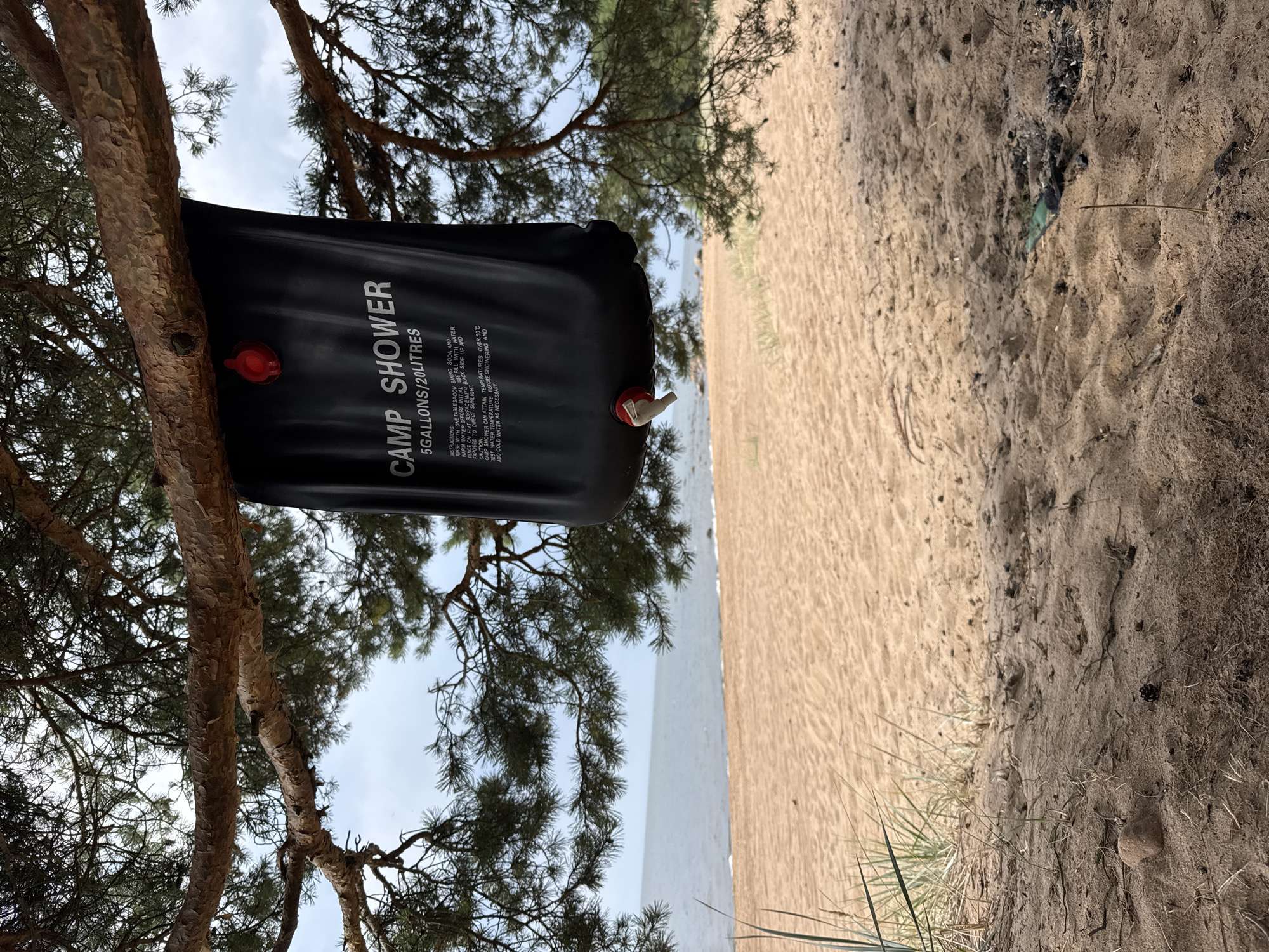 The image shows a black camping shower bag hanging from a pine tree branch overlooking a sandy beach and the sea. The bag is labeled "CAMP SHOWER 5 GALLONS/20 LITRES" and has a red cap and a white spigot. The beach is light brown sand with some scattered grass and pine needles. The sea is a calm, greyish-blue. The sky is overcast. There are no people visible in the image. The location is Zelenaya Roshcha, Russia.