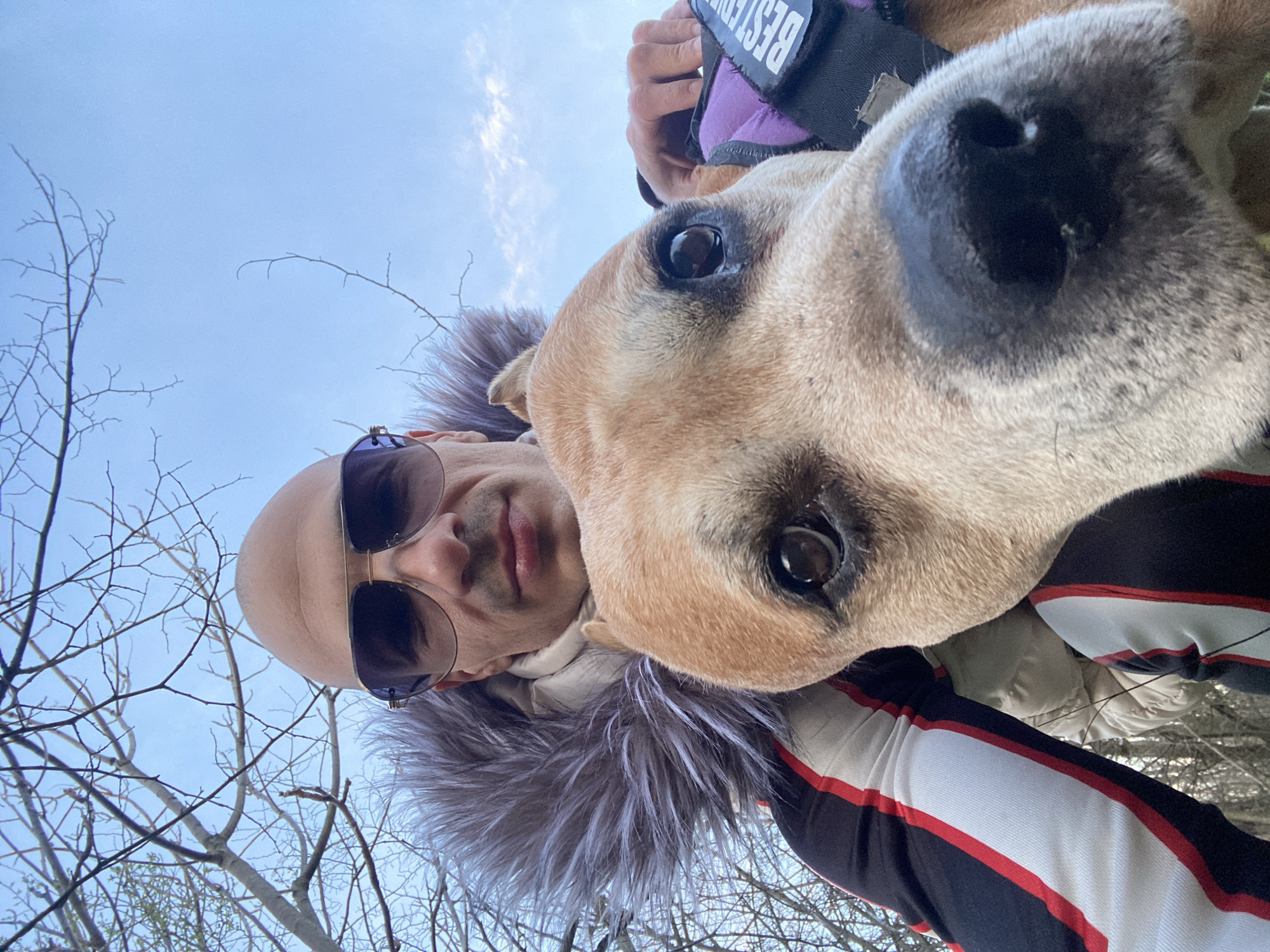 A low-angle, close-up shot depicts a man and a dog, likely a selfie taken outdoors. The man, positioned to the left, is bald and wears sunglasses. He is wearing a jacket with a fur-lined hood and a black and white sleeve with red stripes. The dog, a tan-colored breed, is positioned prominently in the foreground, its face taking up much of the frame. The dog is wearing a purple vest with the word "BEST" written on it. In the background, bare tree branches are visible against a light blue sky. While the information given mentions the city of Pleven, Bulgaria, there is no corroborating visual information in the image.